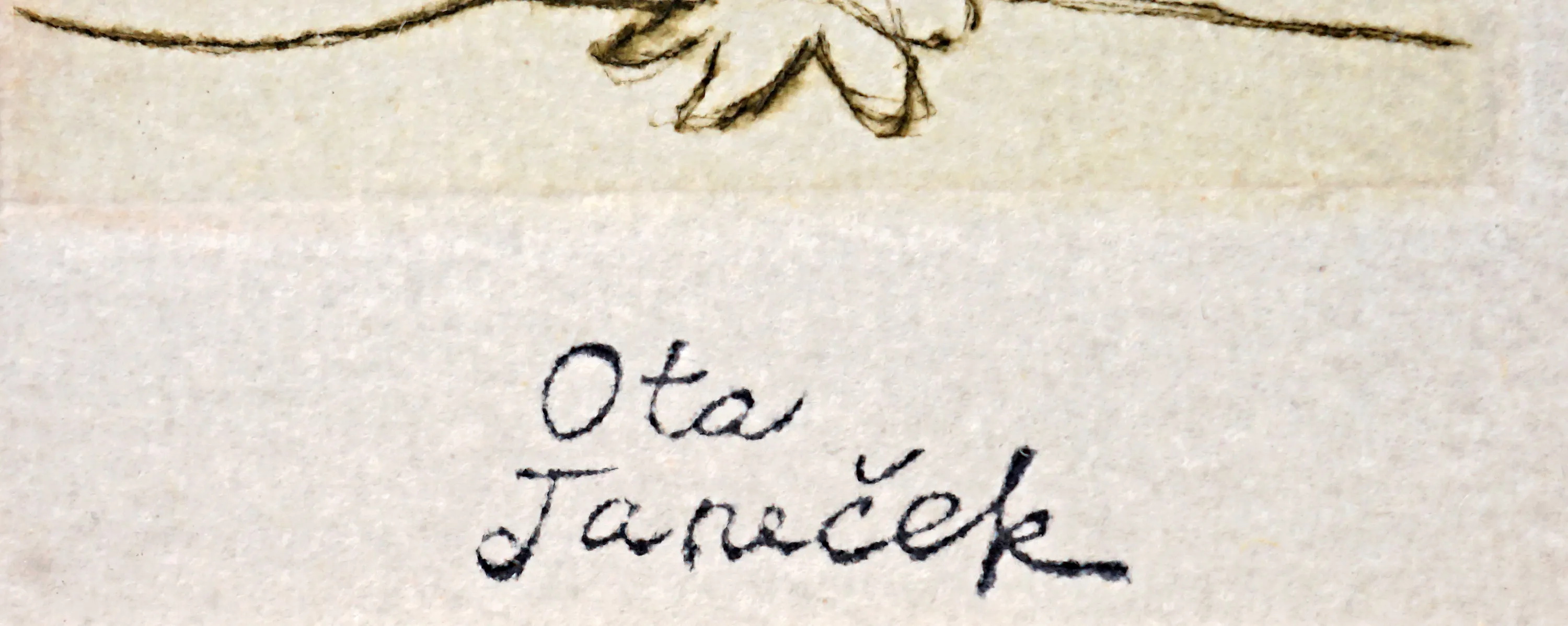 Ptáčci : Ota Janeček - 3