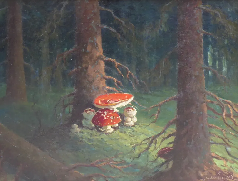 Miroslav Šašek – Muchomůrky červené v lese - 2