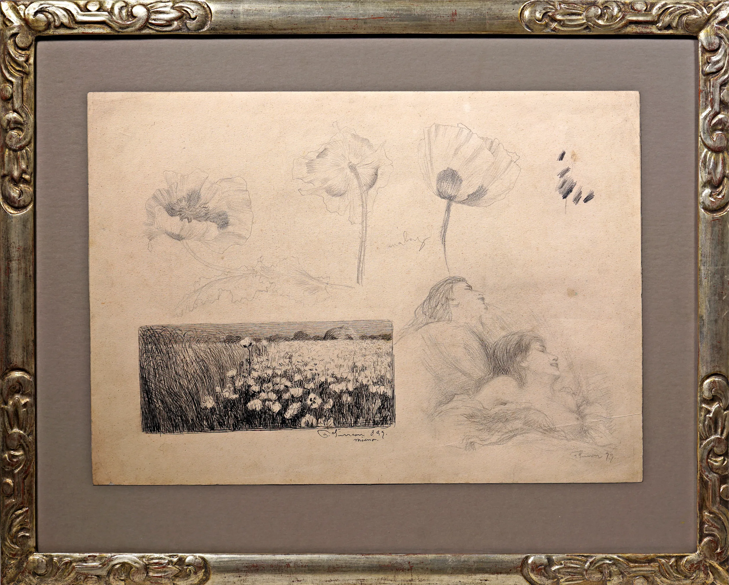 Studie - P. Šimon