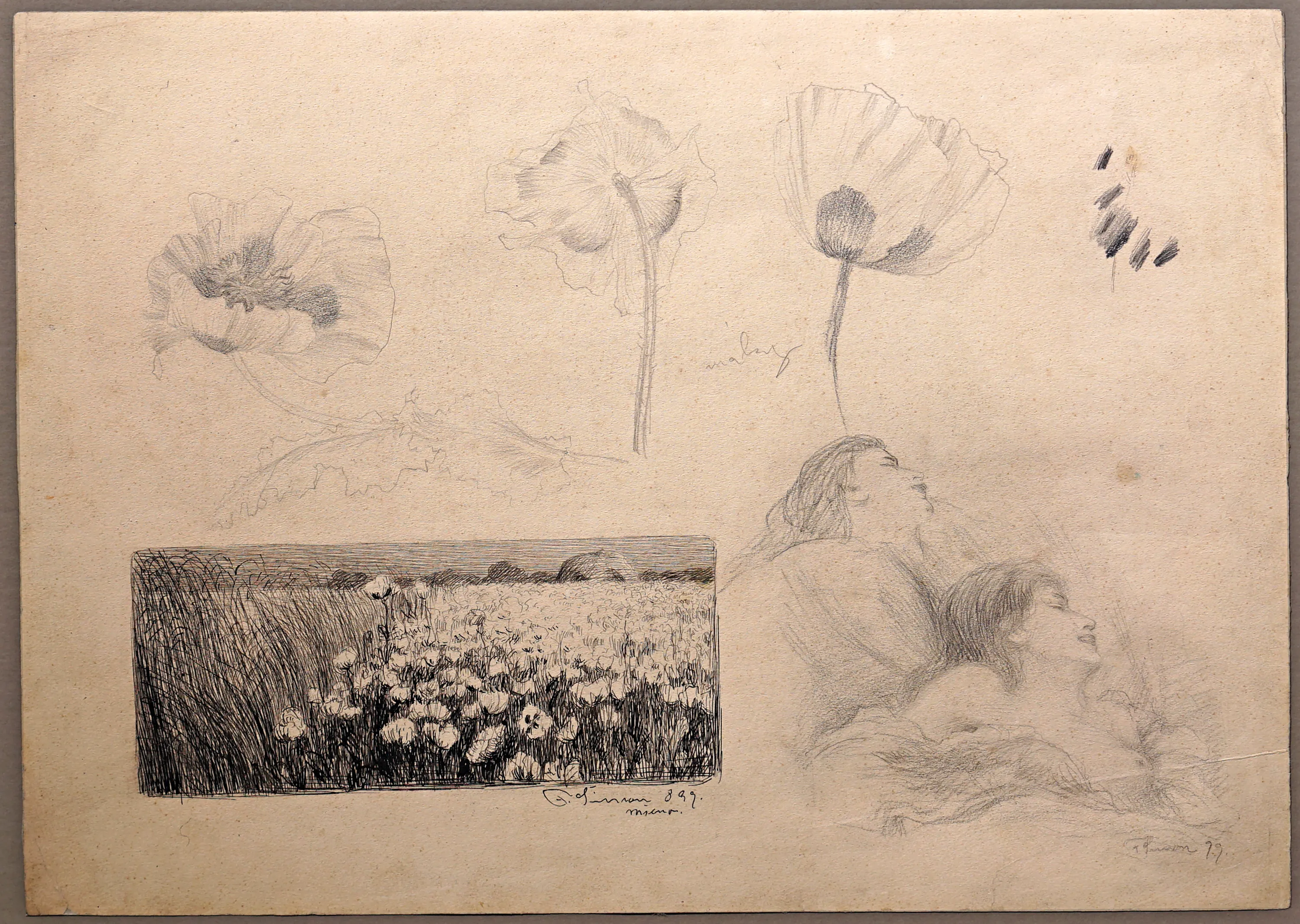 Studie – P. Šimon - 2