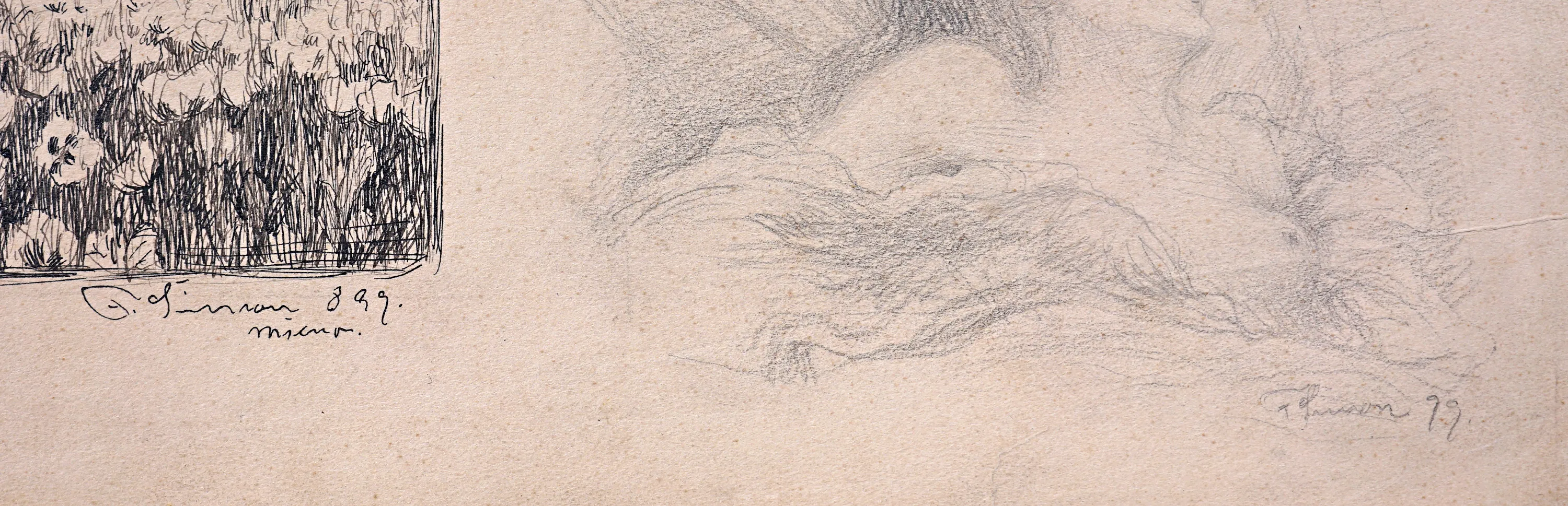 Studie – P. Šimon - 3