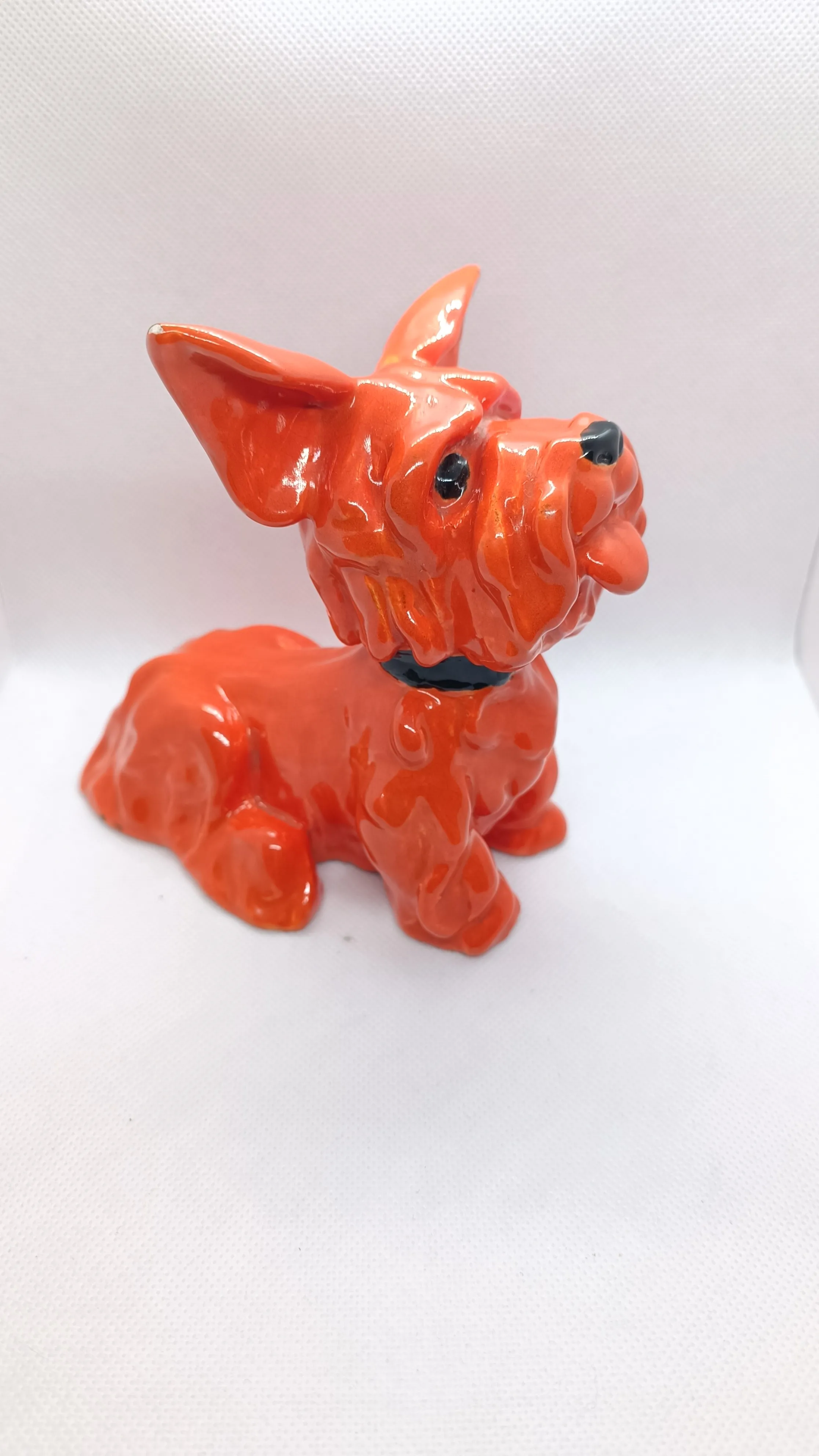 Skotský teriér – Goldscheider - 6