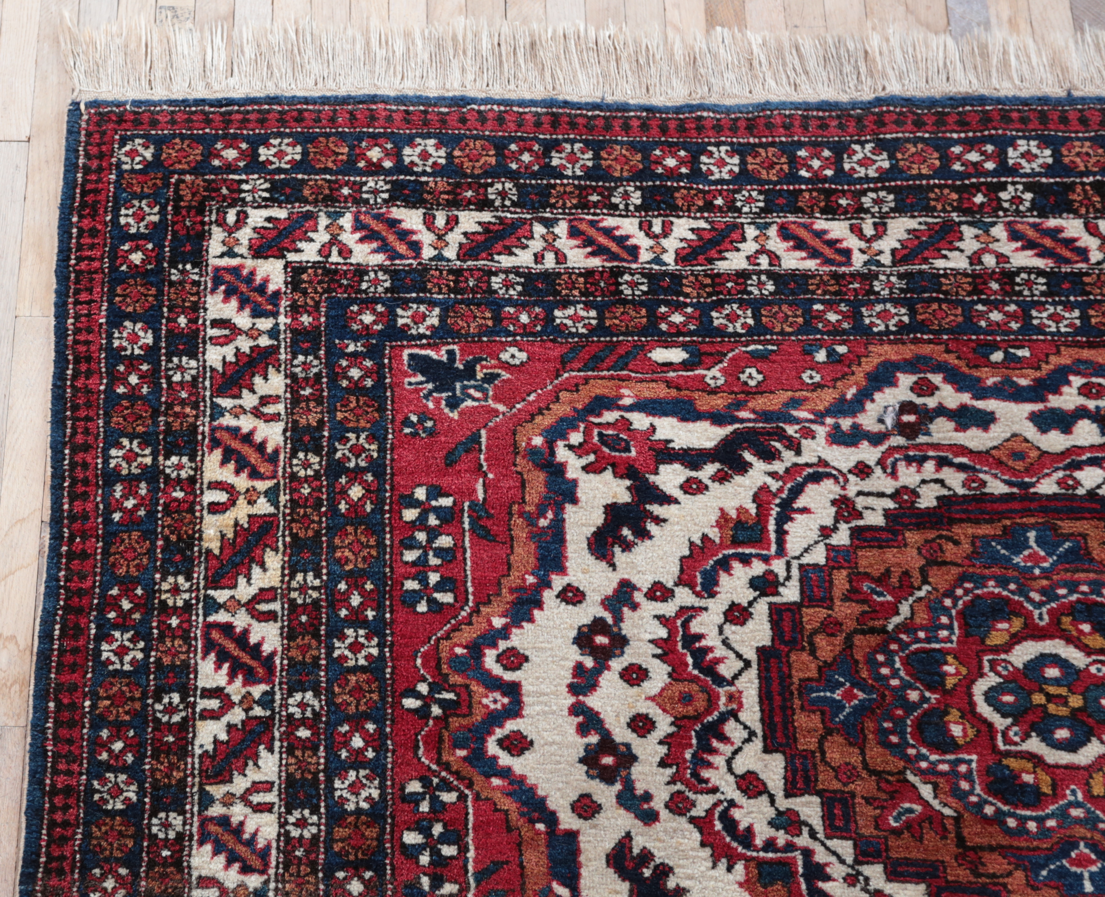 Vlněný orientální koberec Shirvan 298 x 165 cm - 5