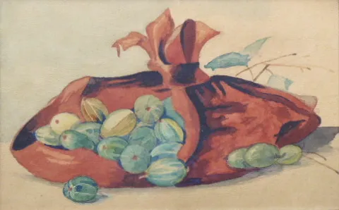 Angrešty v červeném šátku - 3