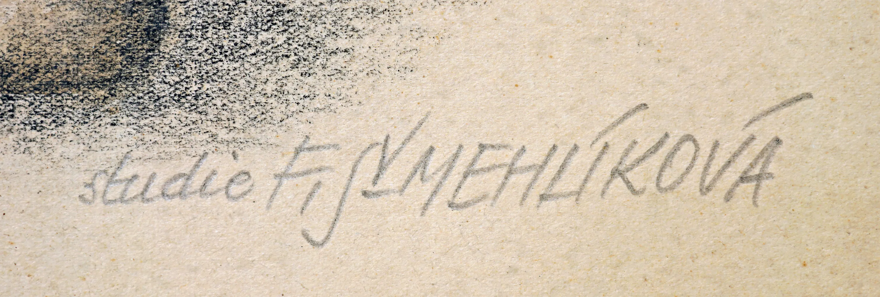 Šmehlíková – Muž v kabátu - 5