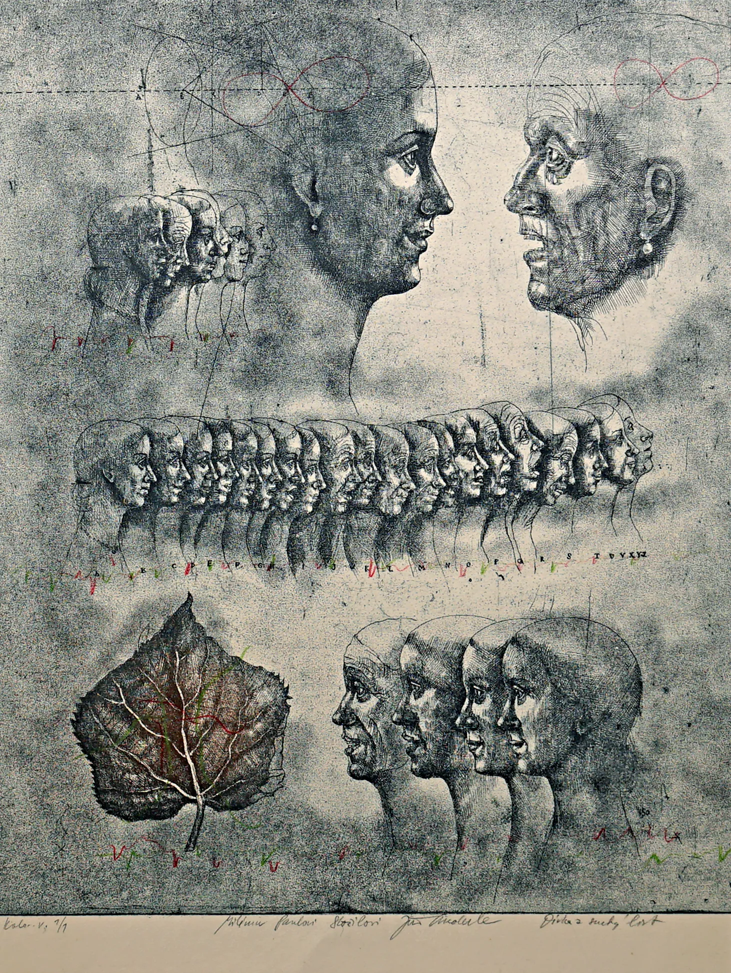 Dívka a suchý list : Jiří Anderle - 2