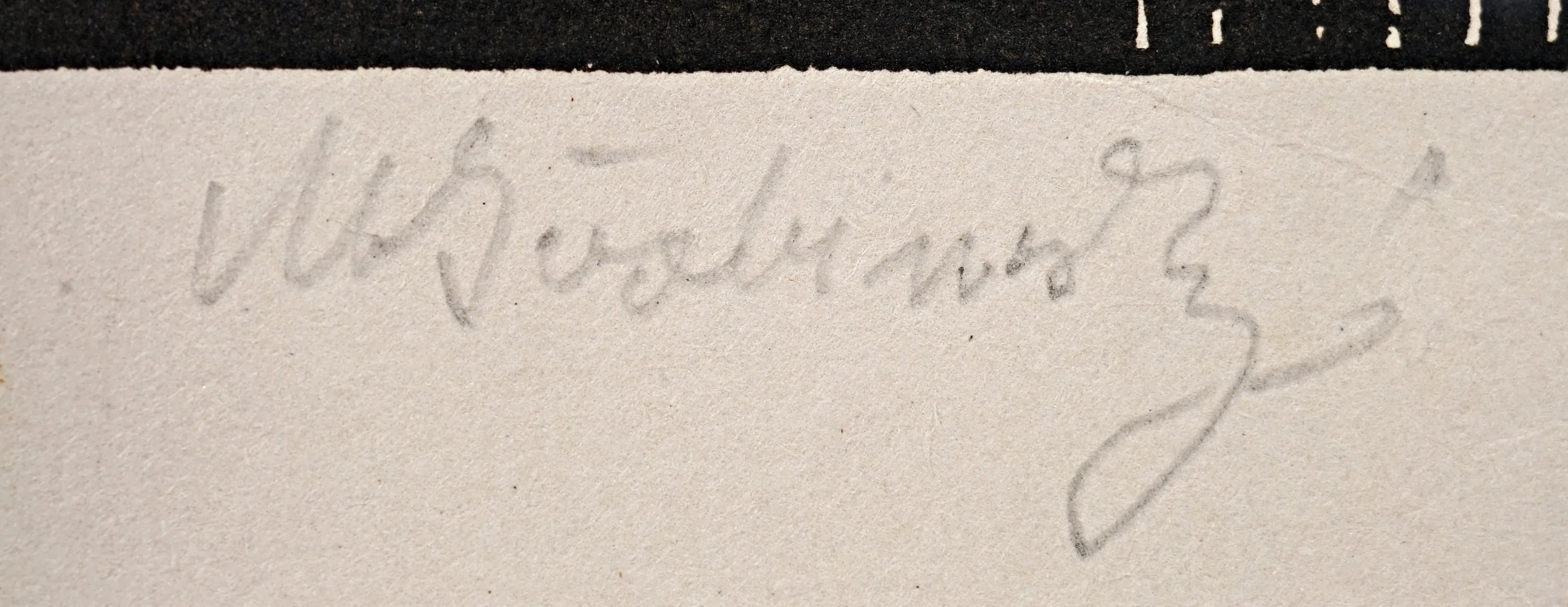 Výstava S.V.U. Mánes : Max Švabinský - 3
