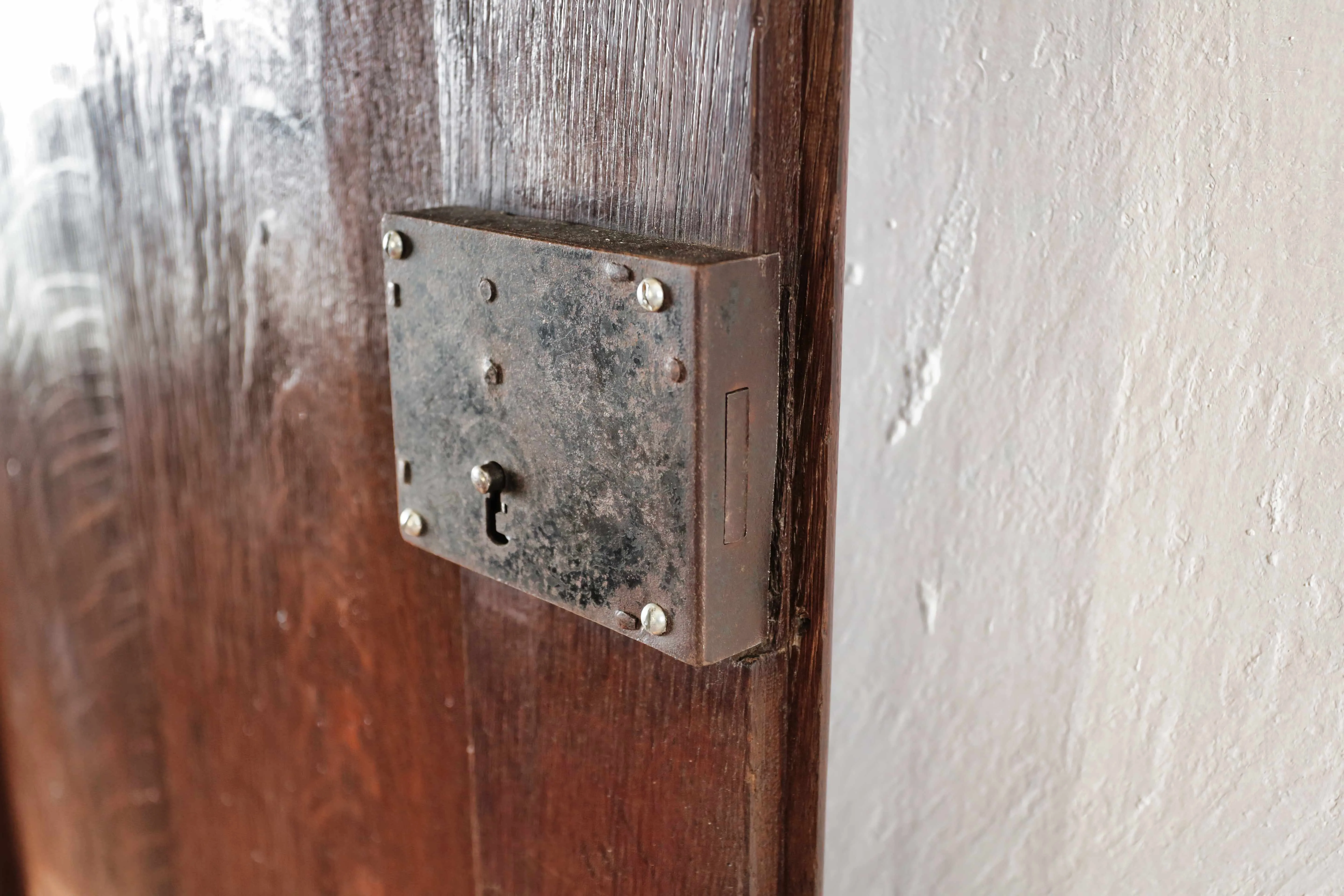 Starožitné dubové dveře z 18. století - 4