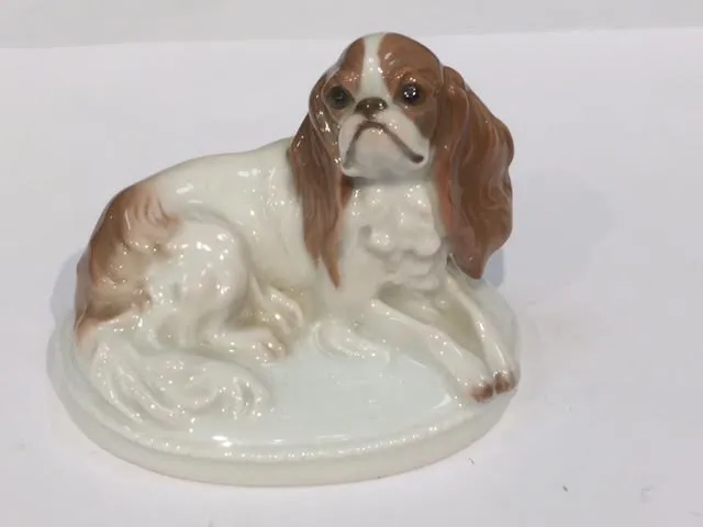 Rosenthal, Kavalír King Charles španěl