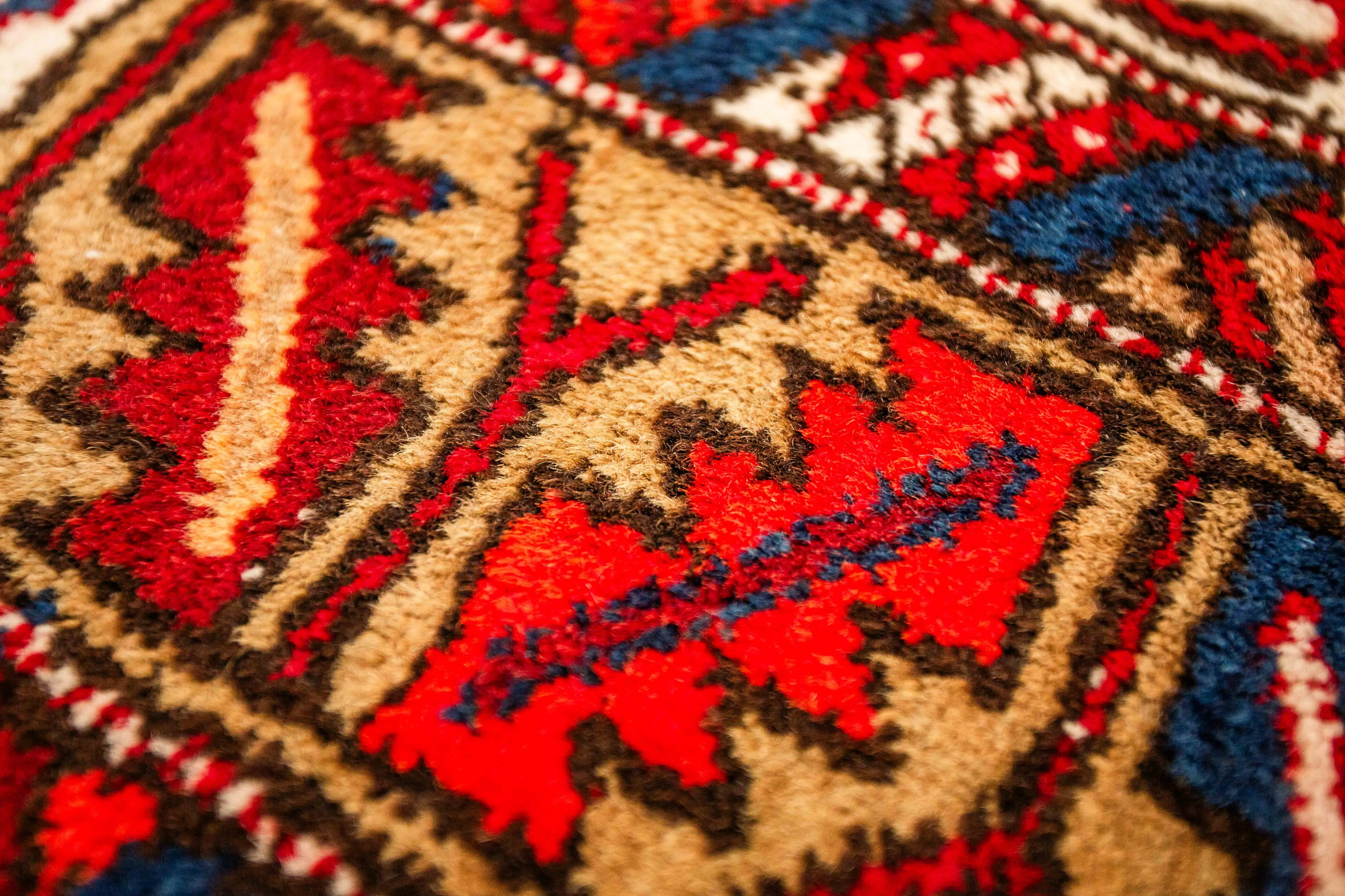 Ručně vázaný koberec Shirvan 300 X 155 cm - 3
