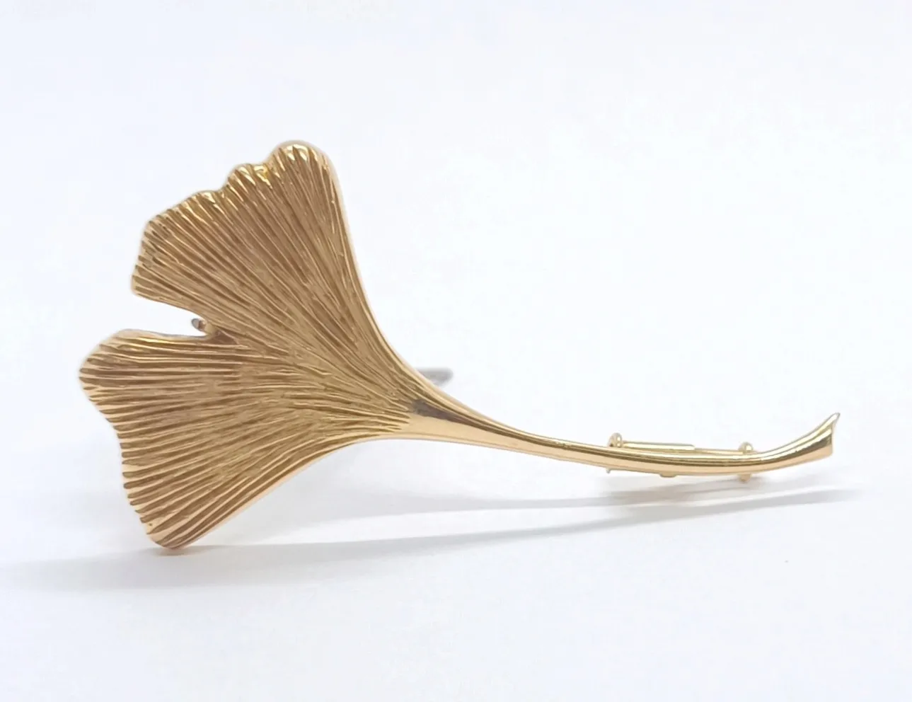 Zlatá brož – ginkgo biloba - 1