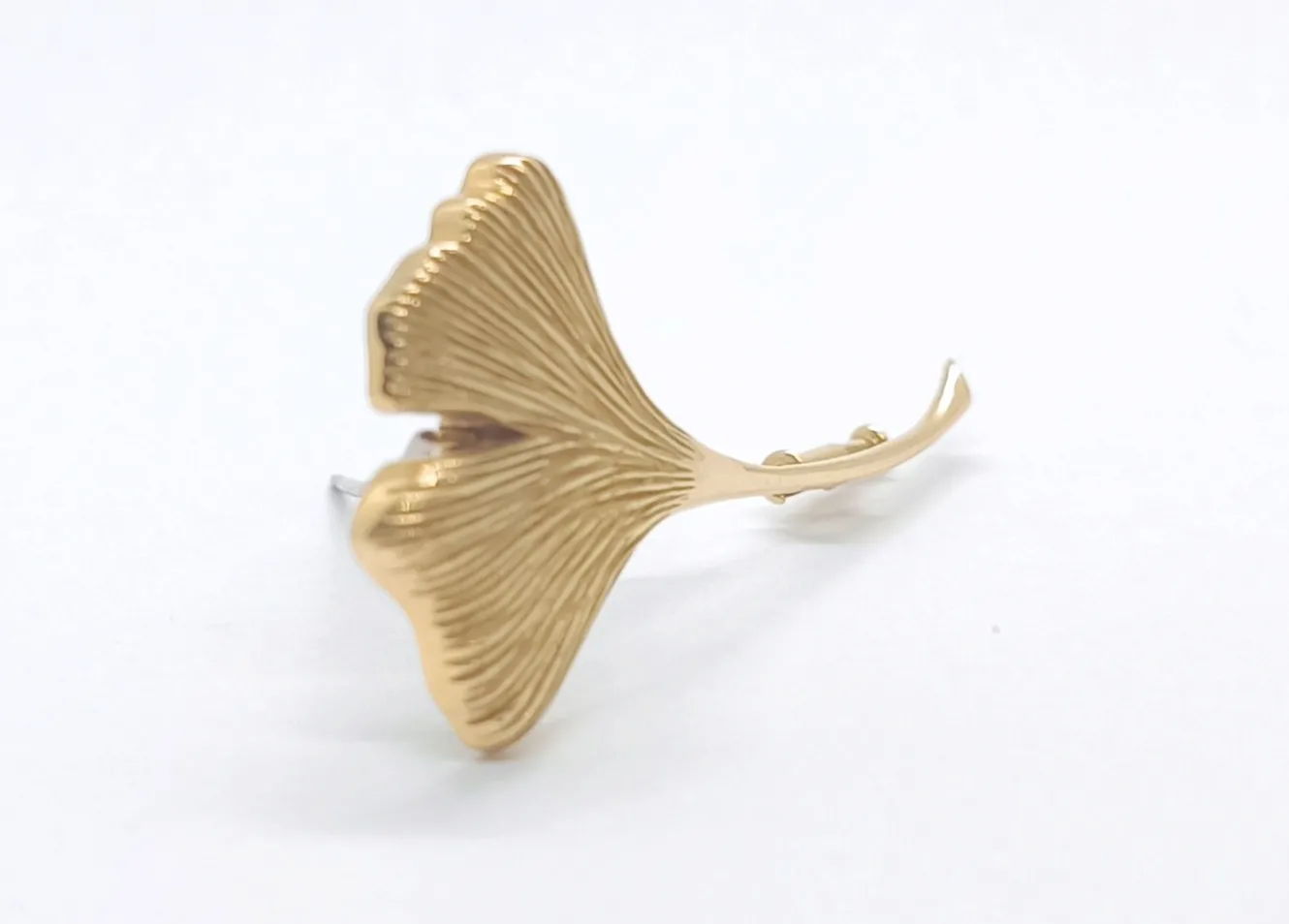 Zlatá brož – ginkgo biloba - 4