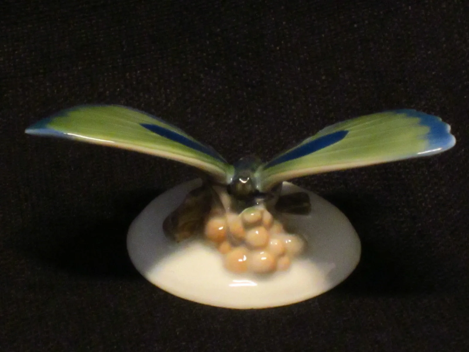 ROSENTHAL,MOTÝL - 2