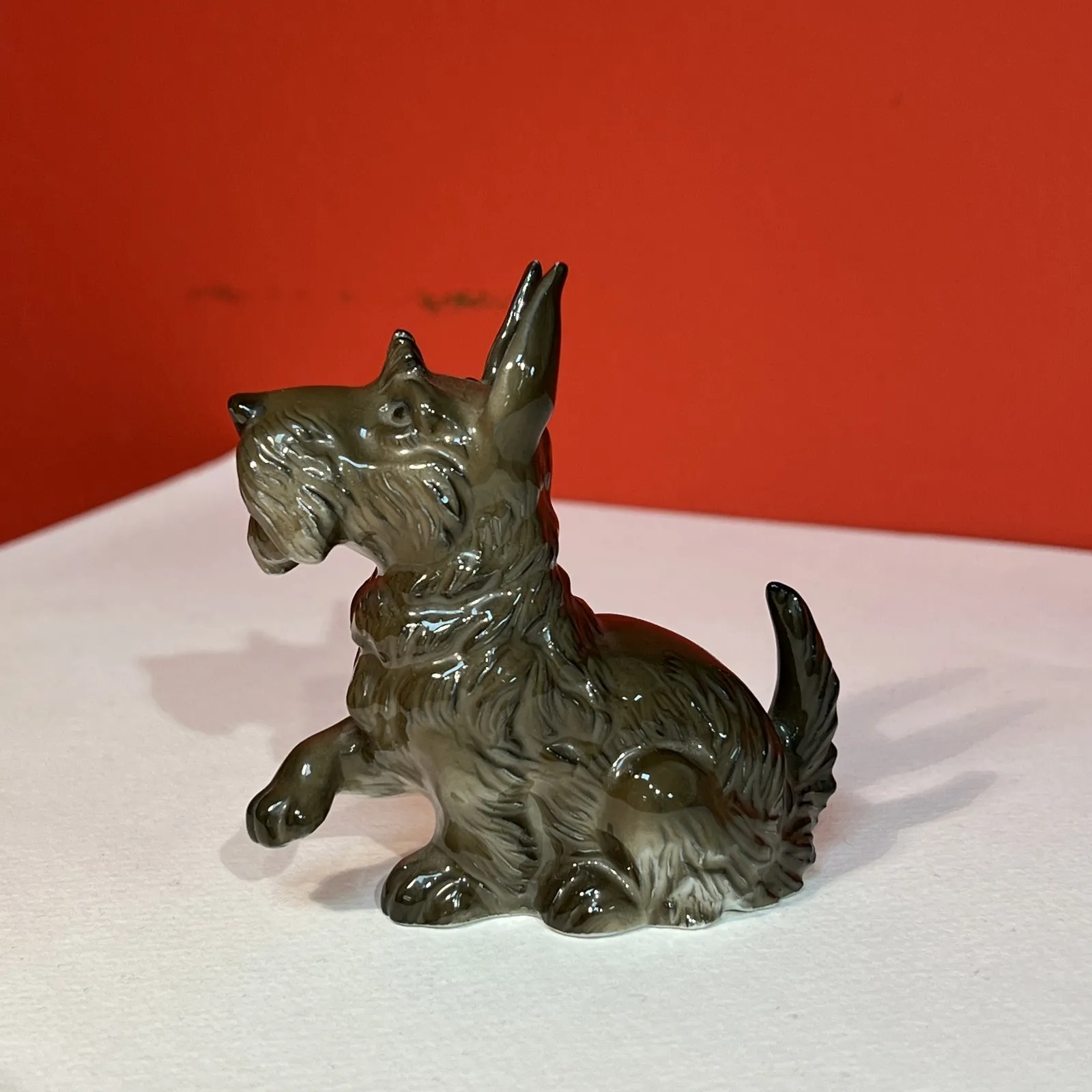 Rosenthal, skotský teriér - 3
