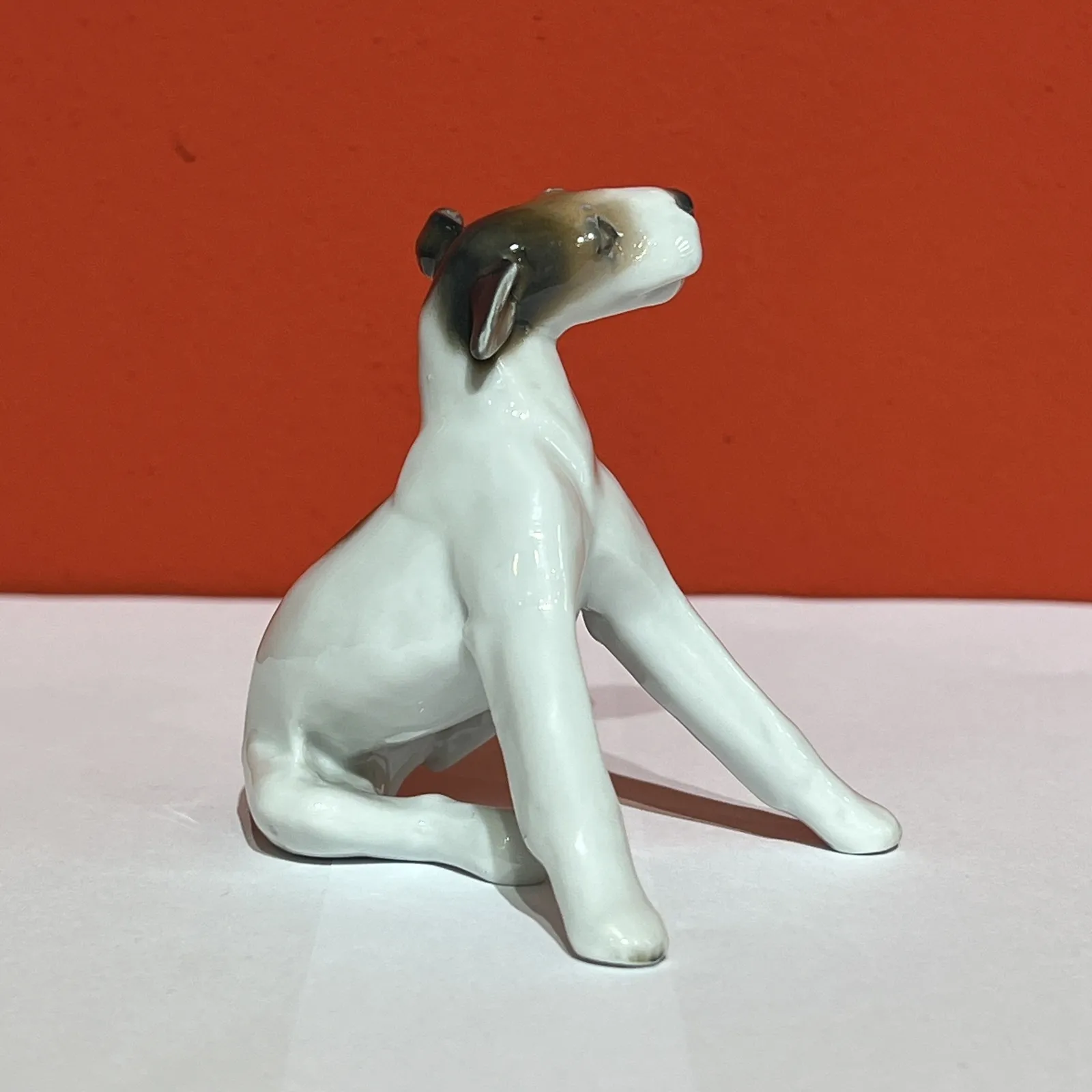 Rosenthal, foxteriér, pes Dášenka - 3