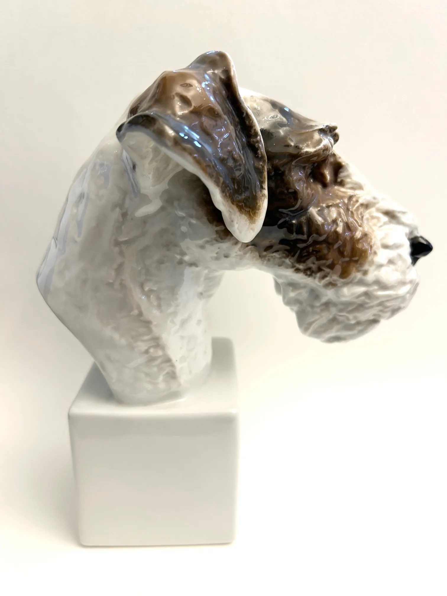 Porcelánová plastika foxteriéra – Rosenthal - 4