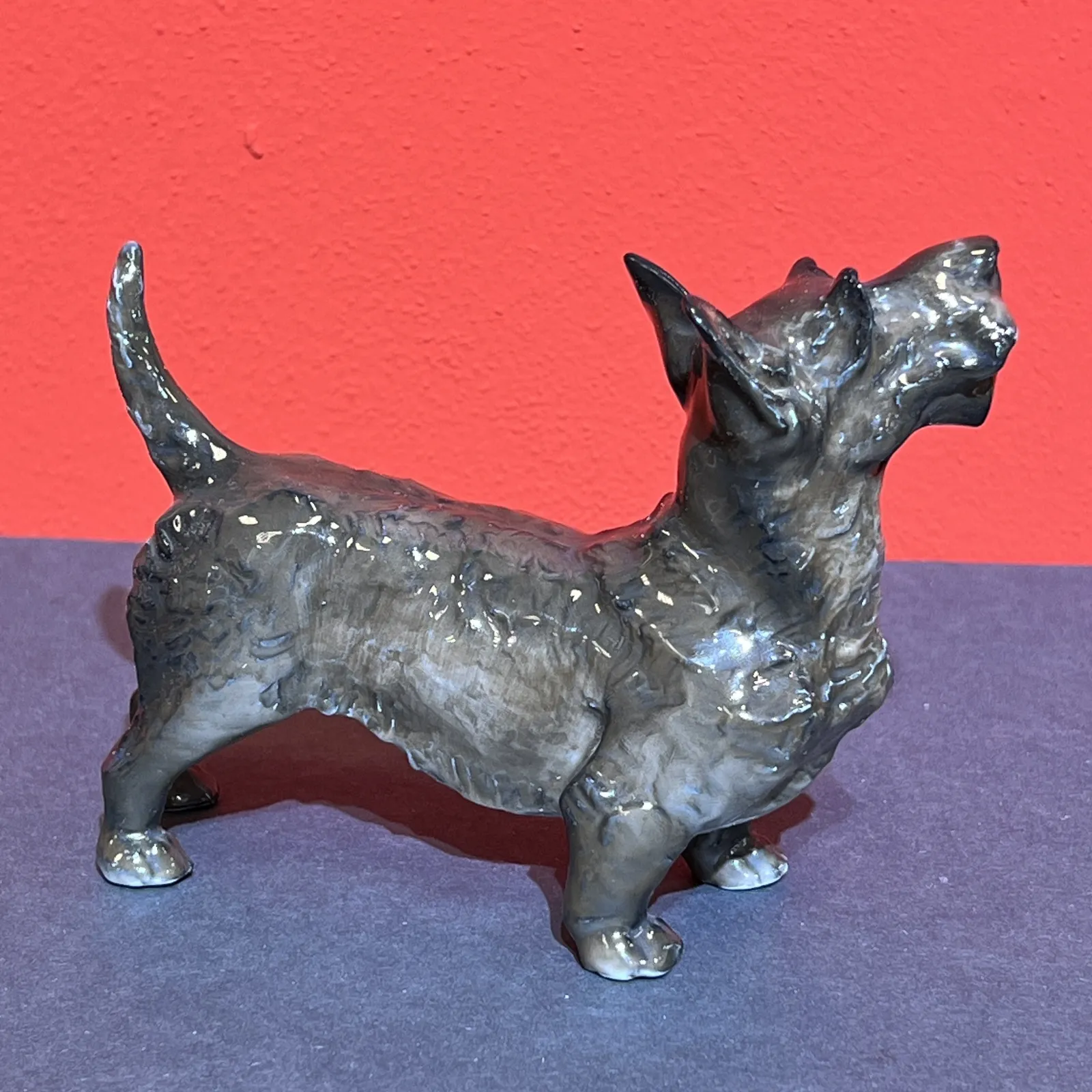 ROSENTHAL, SKOTSKÝ TERIÉR - 2