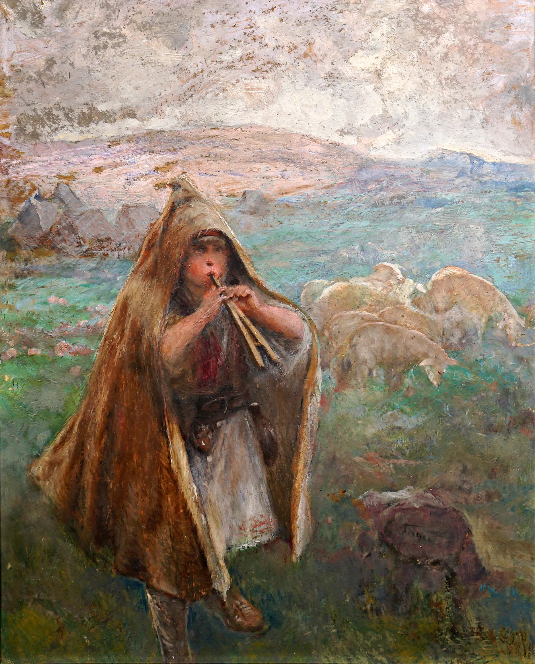 Pasáček ovcí - 2