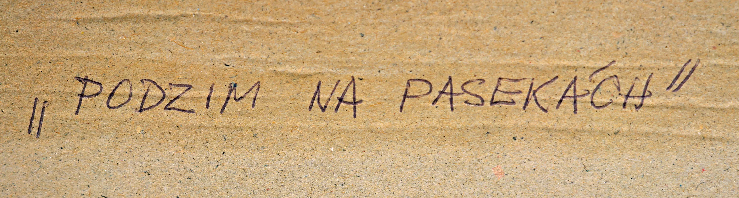 Podzim na pasekách : Josef Drha - 4