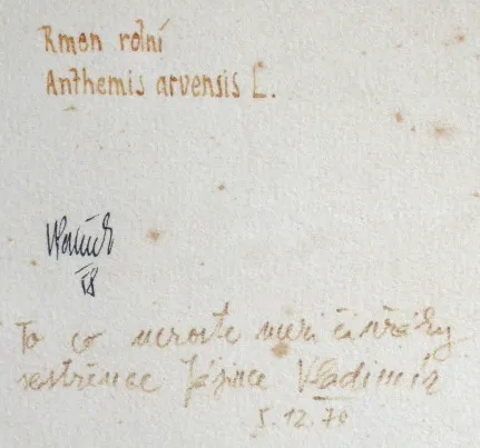 Vladimír Václav Paleček (nar.1922) – Rmen Rolní - 4