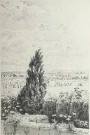Max Švabinský (1873-1962) – Túje v Chodově - 2
