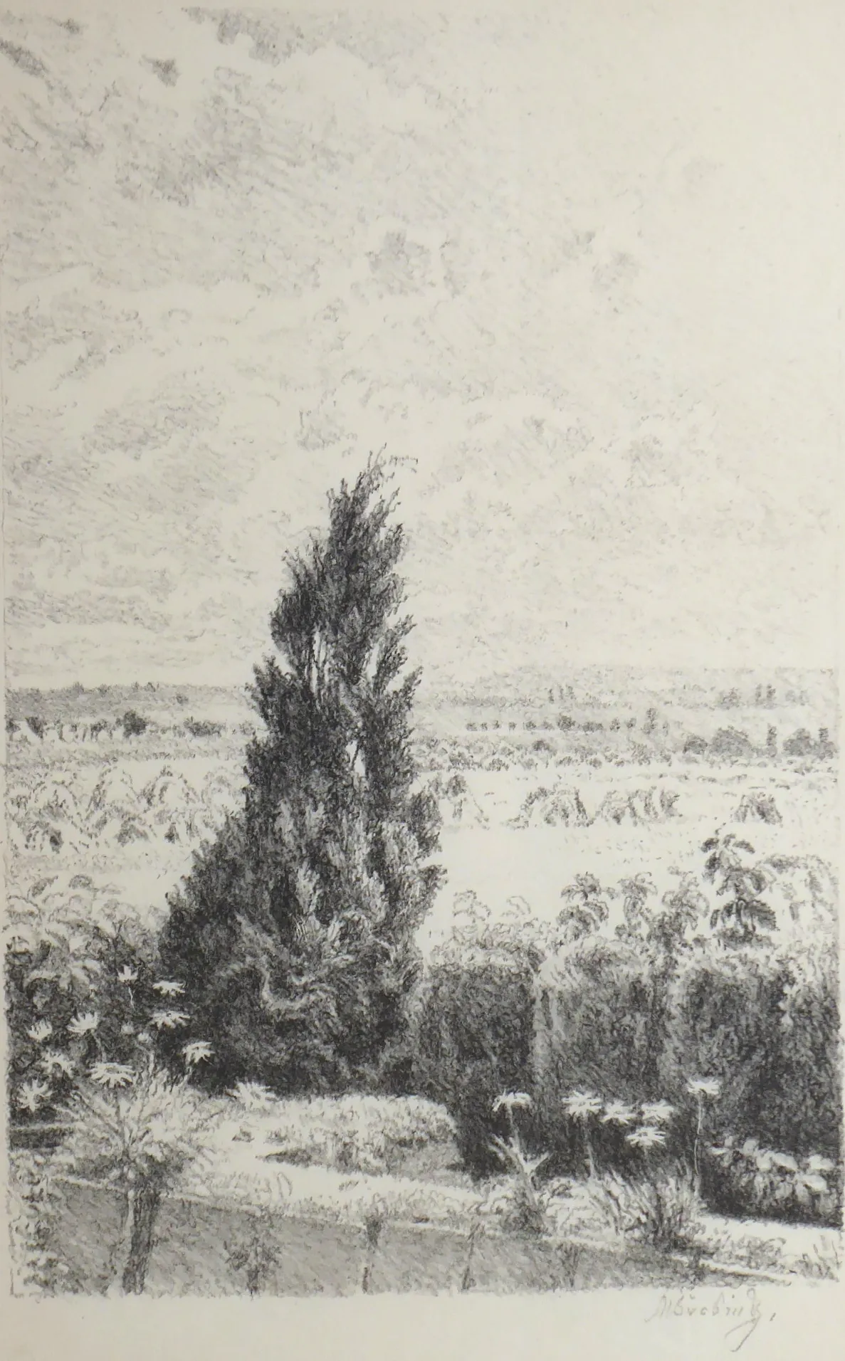 Max Švabinský (1873-1962) – Túje v Chodově - 3