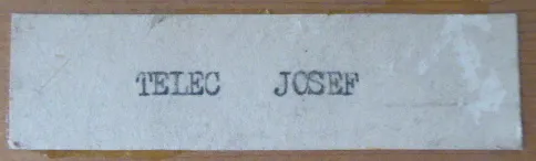 Josef Telec – Ve společnosti bohů - 4