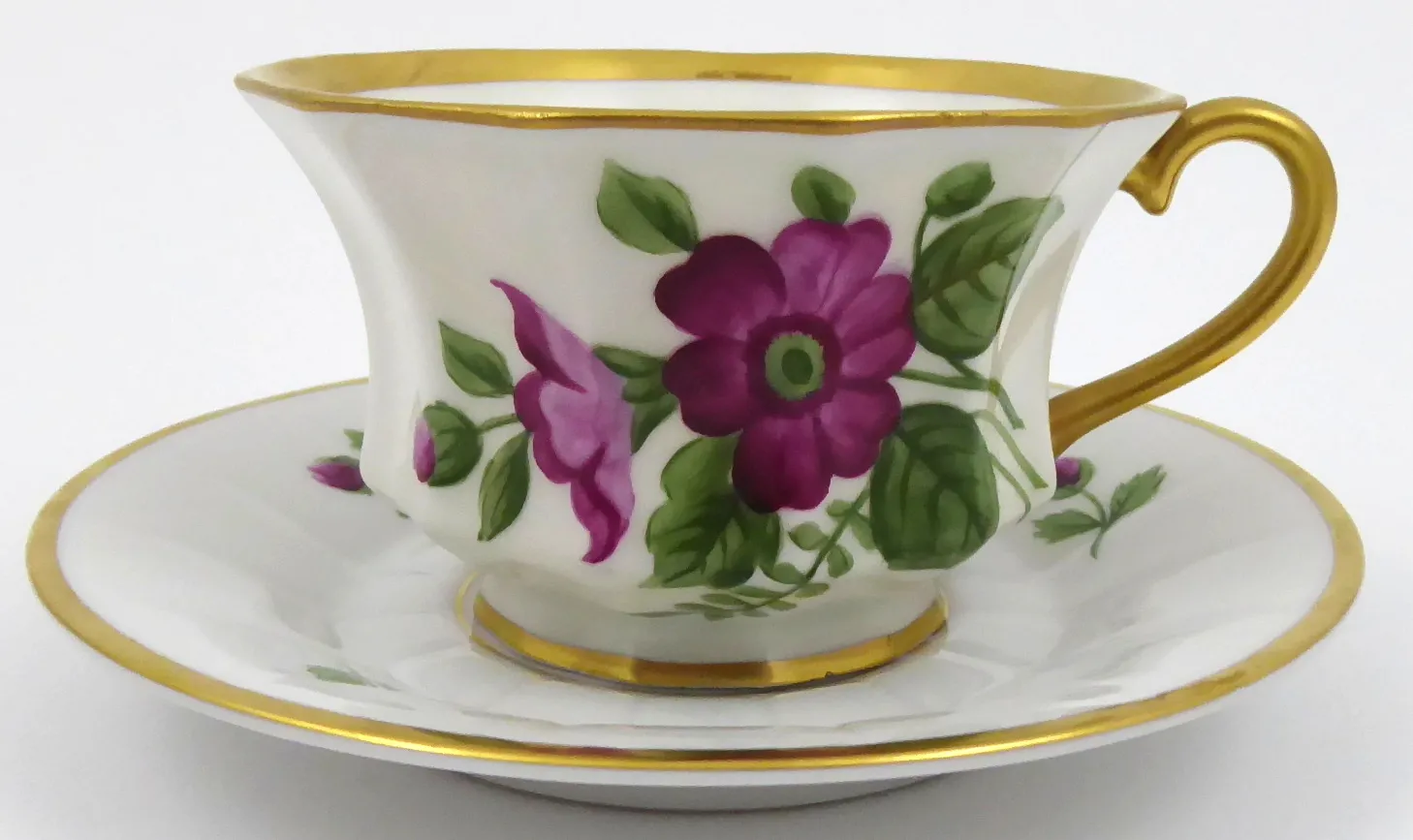 Čajový šálek s šípkovými růžemi – Rosenthal