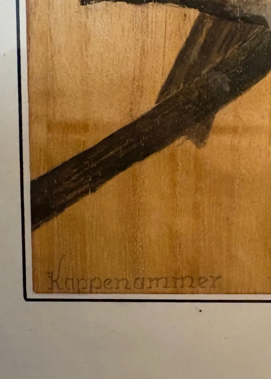 Akvarel – Strnad černohlavý, K. Frühring - 4