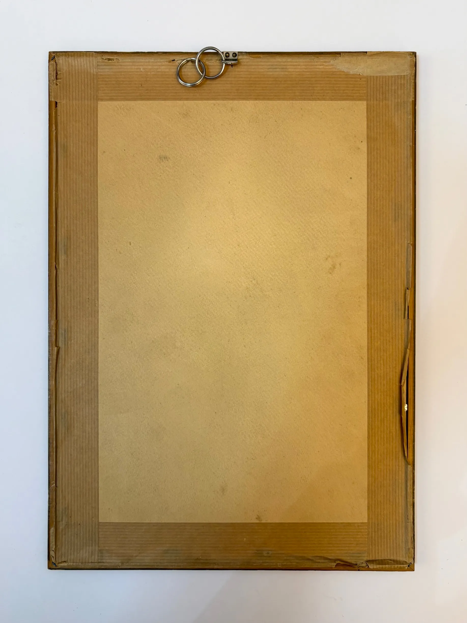 Akvarel – Strnad černohlavý, K. Frühring - 5