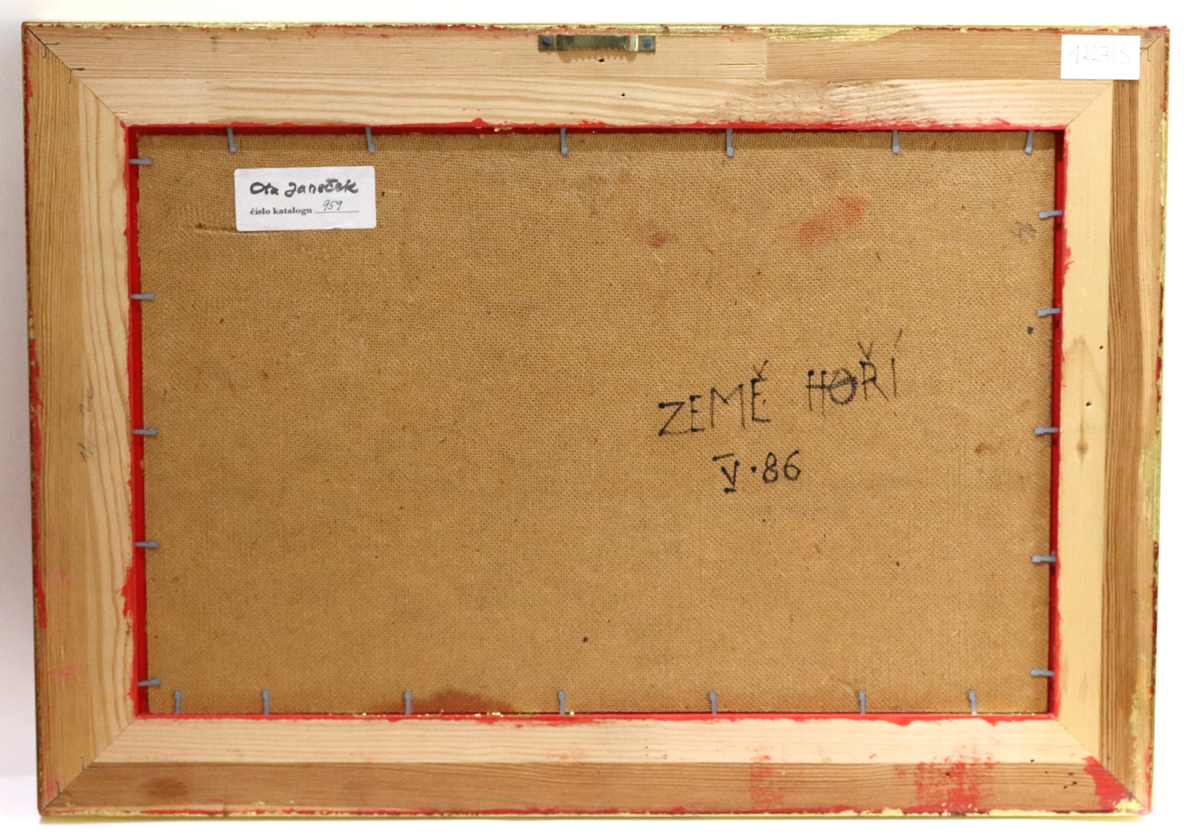 Ota Janeček – Země hoří - 4