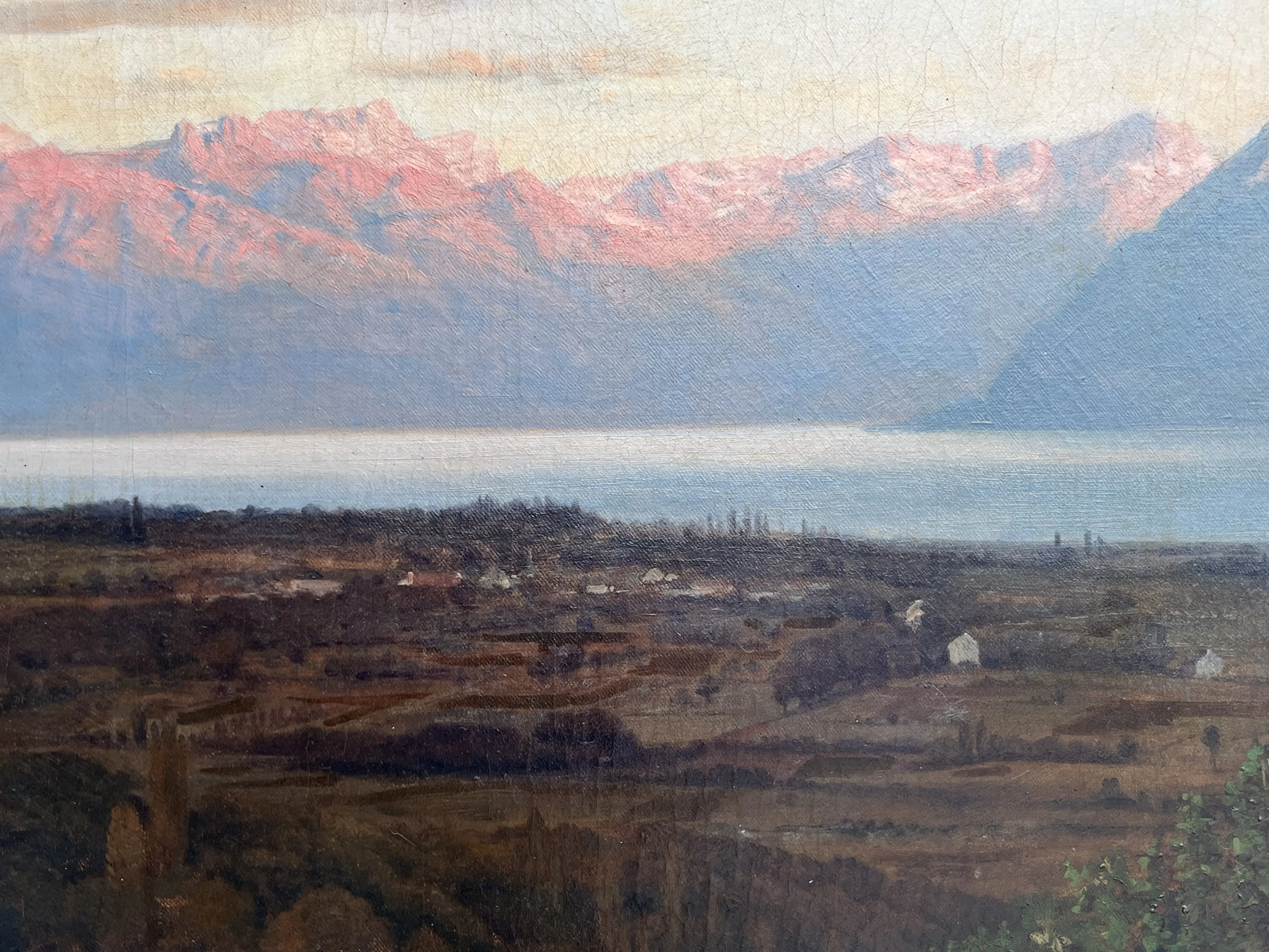 Reprezentativní olej, Vinobraní - 6