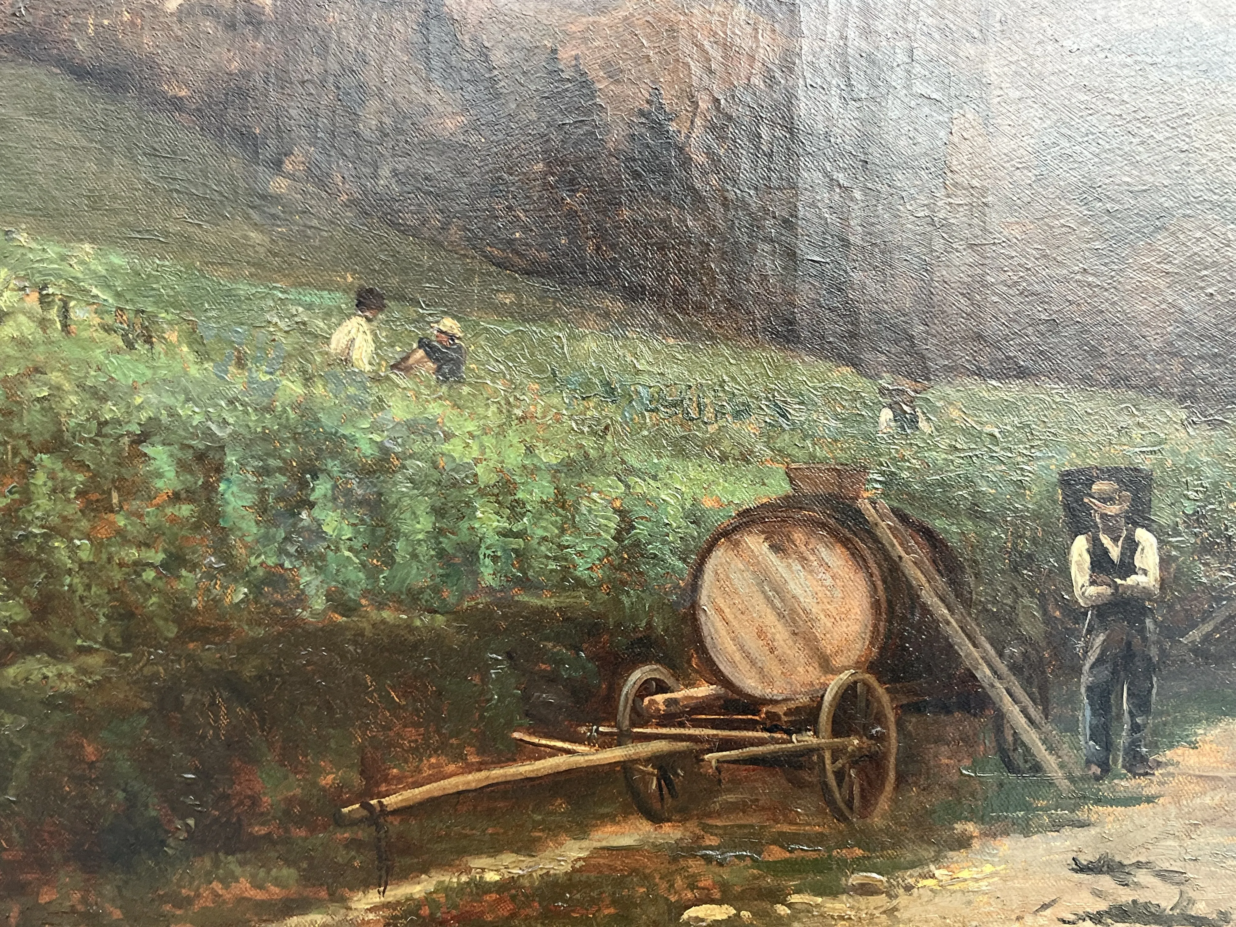 Reprezentativní olej, Vinobraní - 7