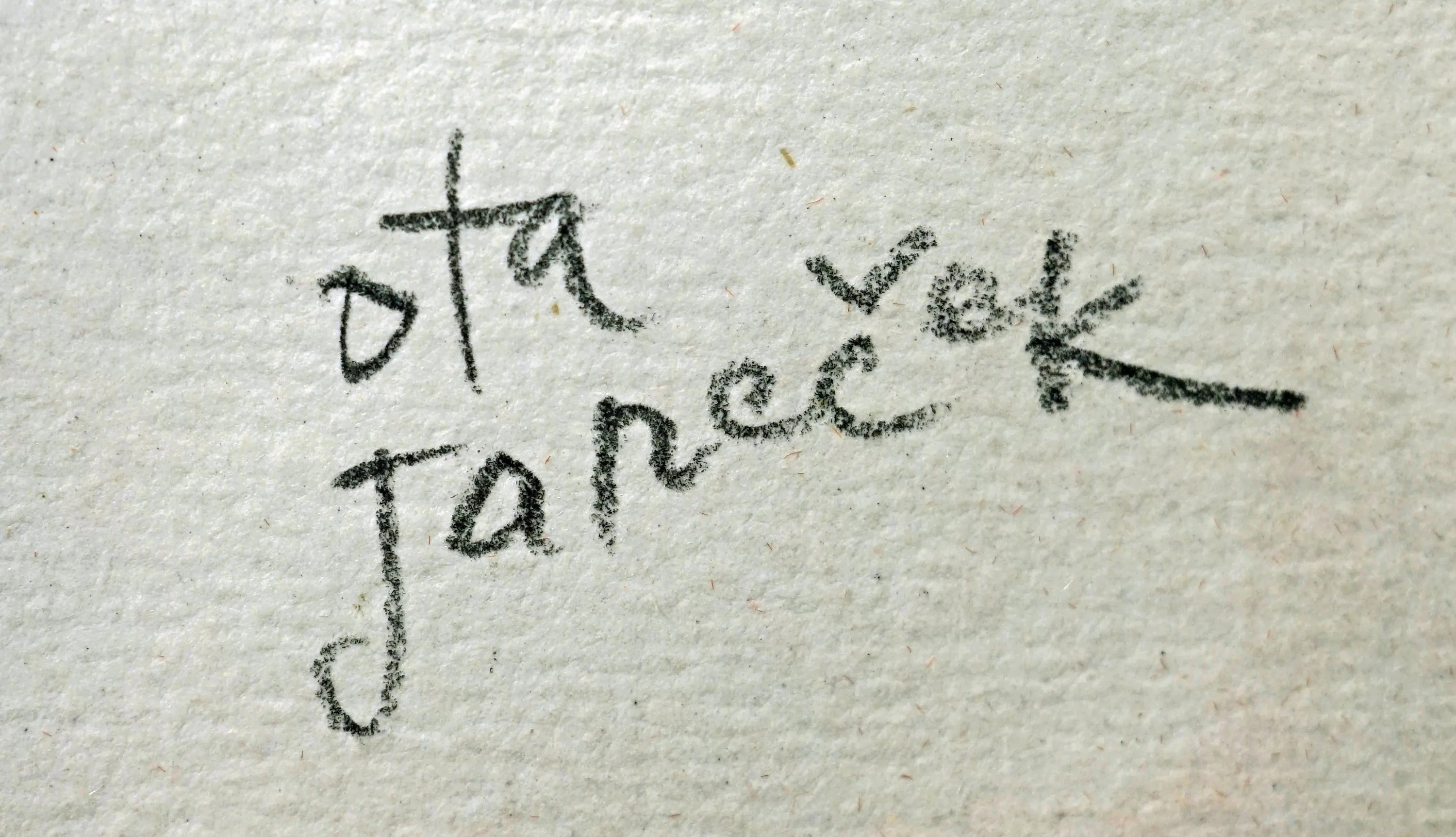 Ota Janeček – Zamilovaný pár - 2