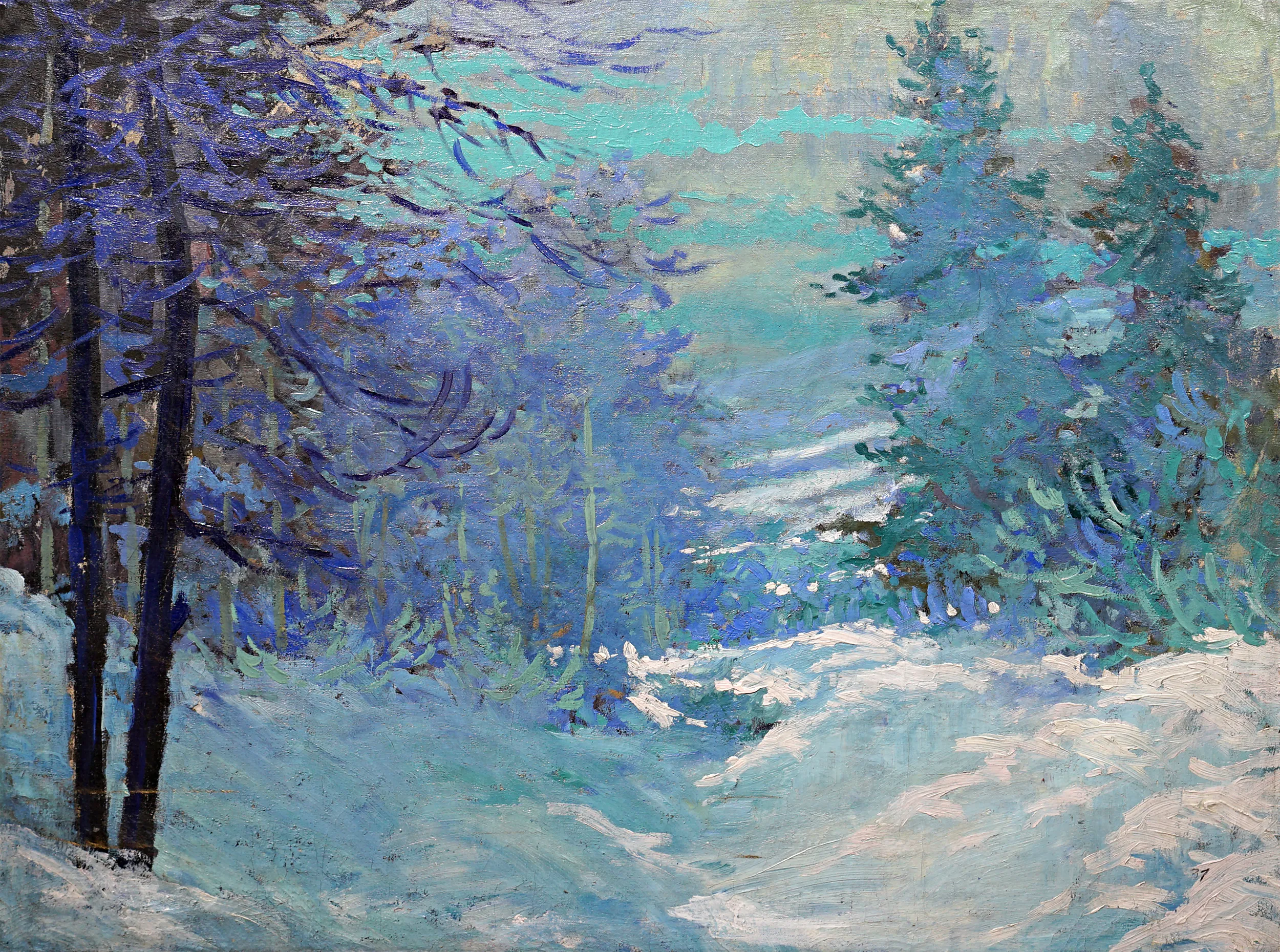 Zimní krajina - 2