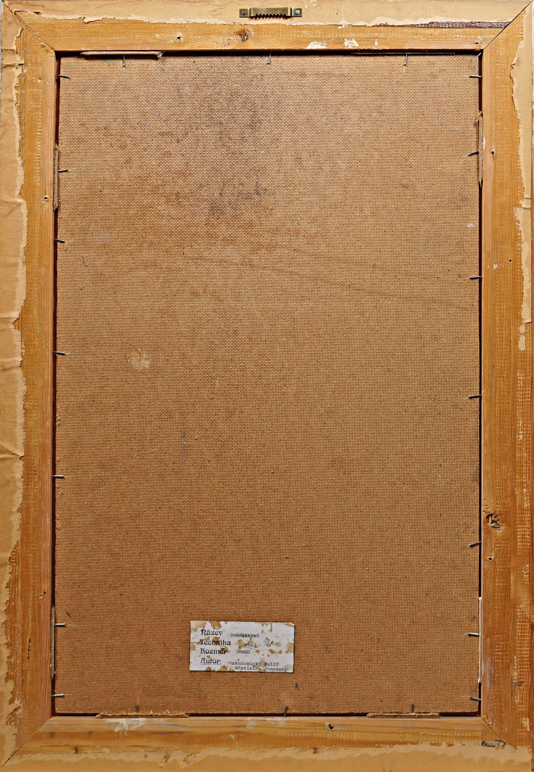 Břetislav Janovský – Ochránkyně - 3