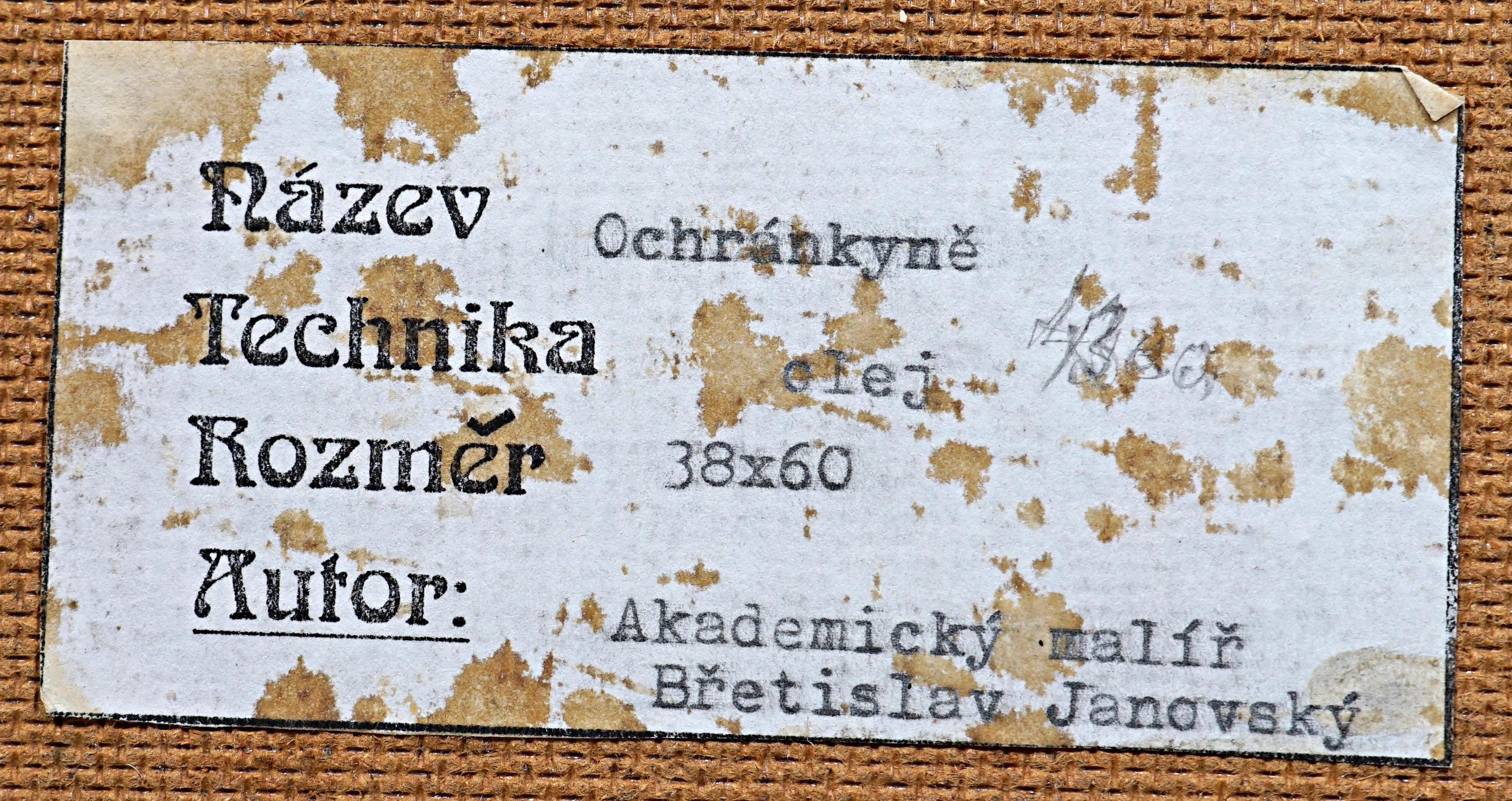 Břetislav Janovský – Ochránkyně - 4