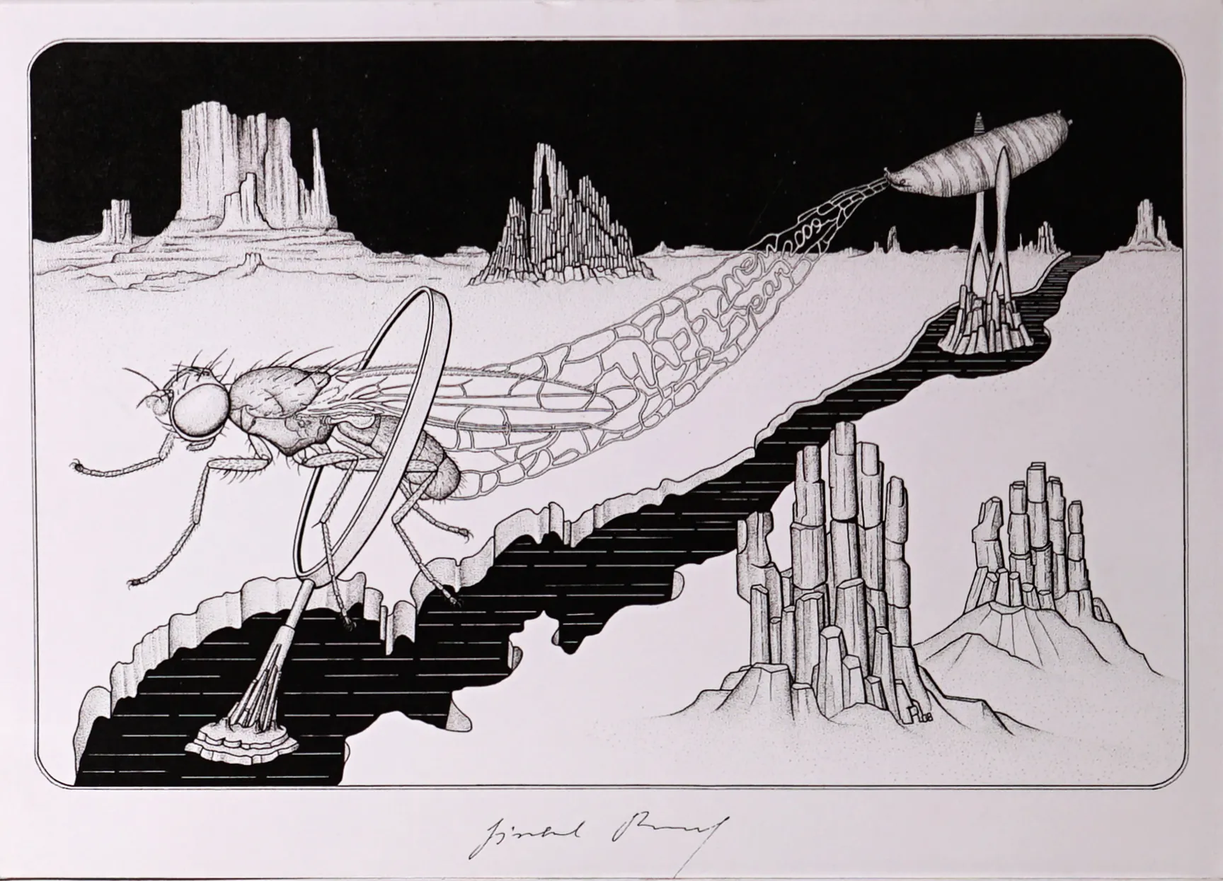 Jindřich Roháček – 5 ks – Hmyz - 3
