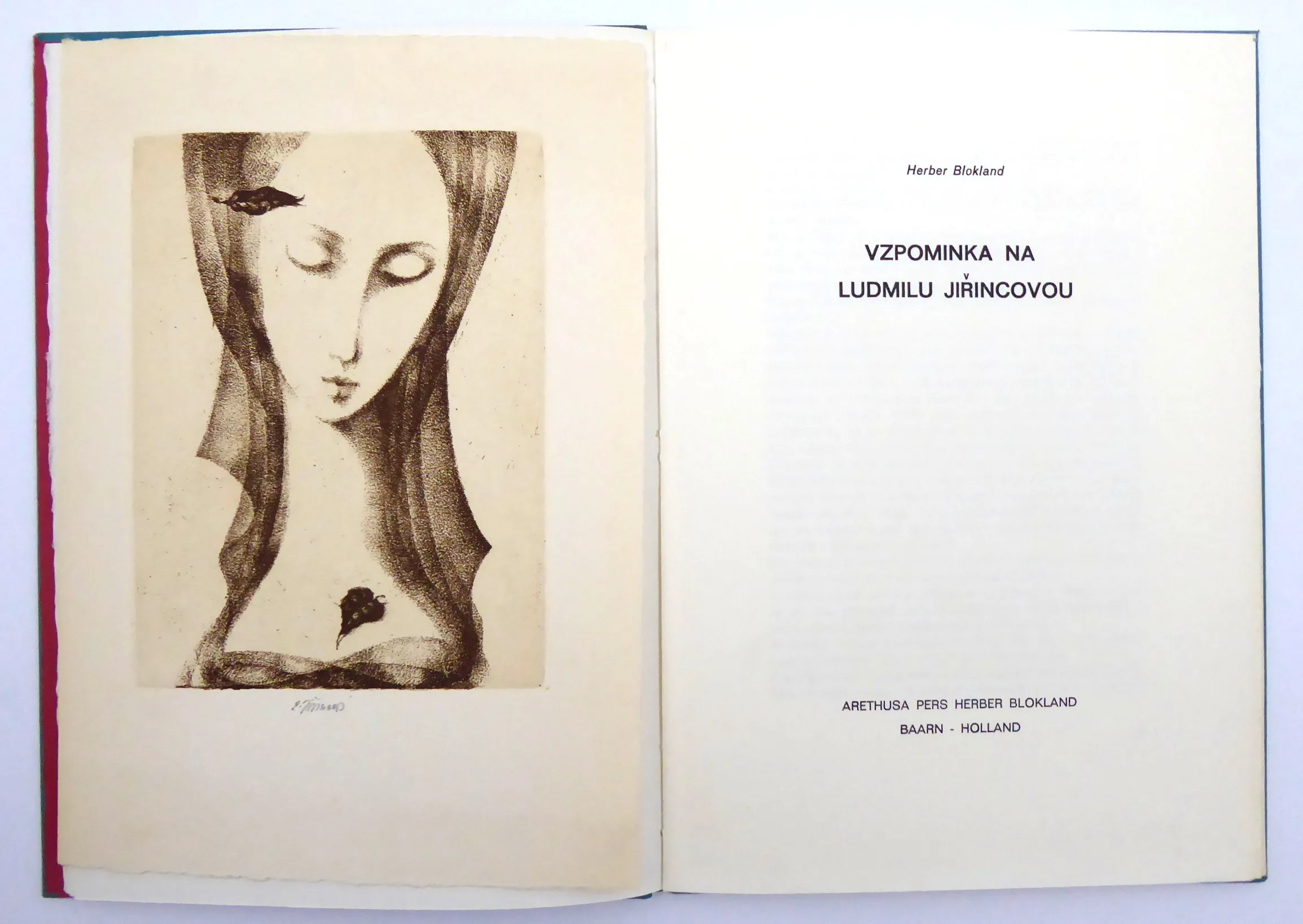 Ludmila Jiřincová – Vzpomínka na Ludmilu
