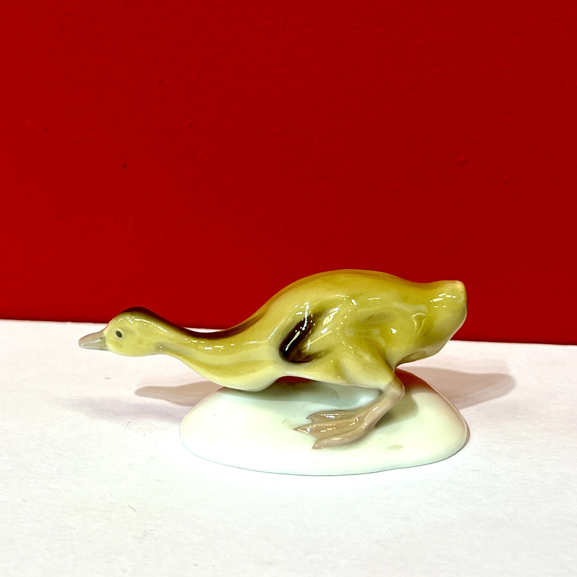 Míšeň, malá kachnička