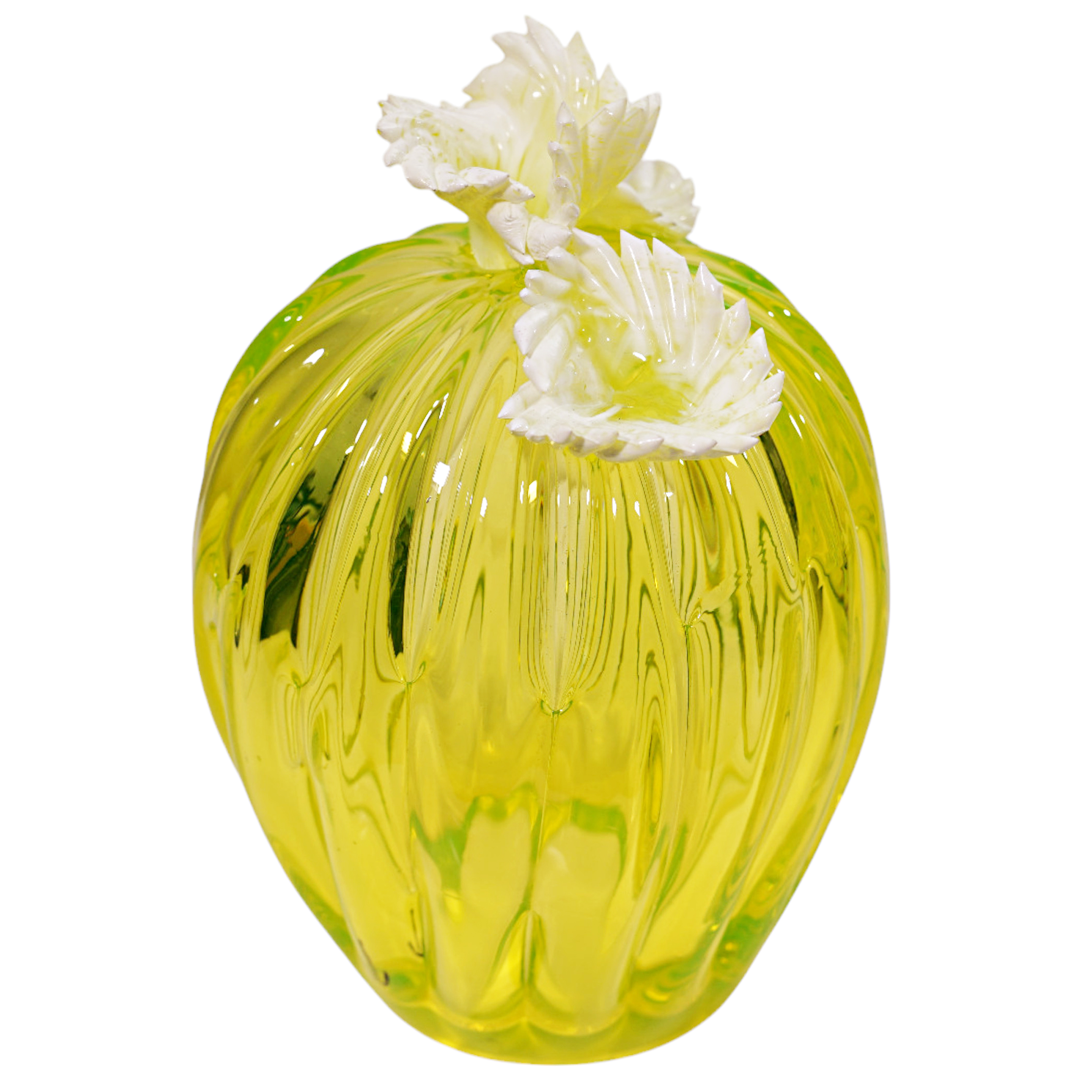 Jiří Pačinek : Kaktus