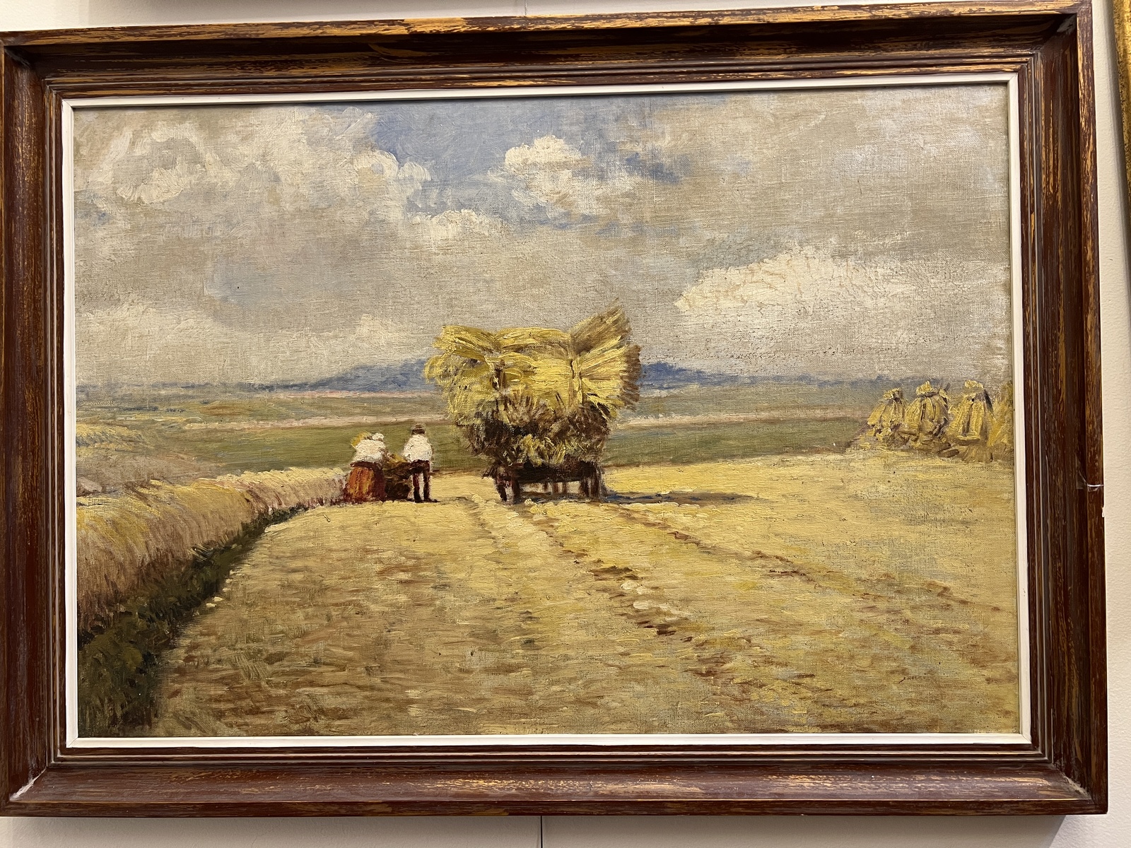 Žně, sklizeň obilí