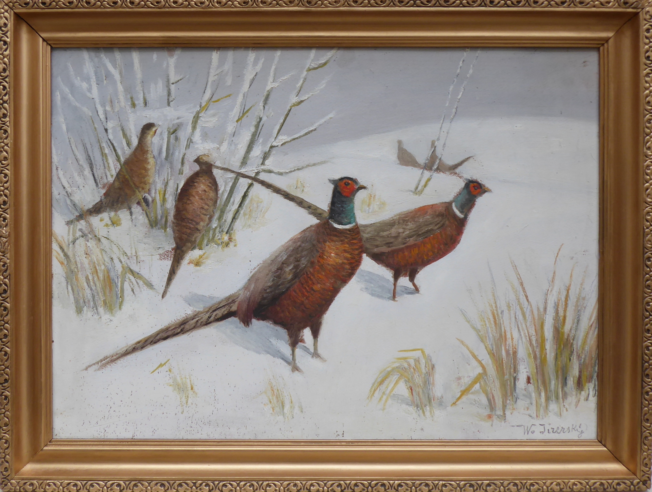 Karel Walter Jizerský – Bažanti a koroptve