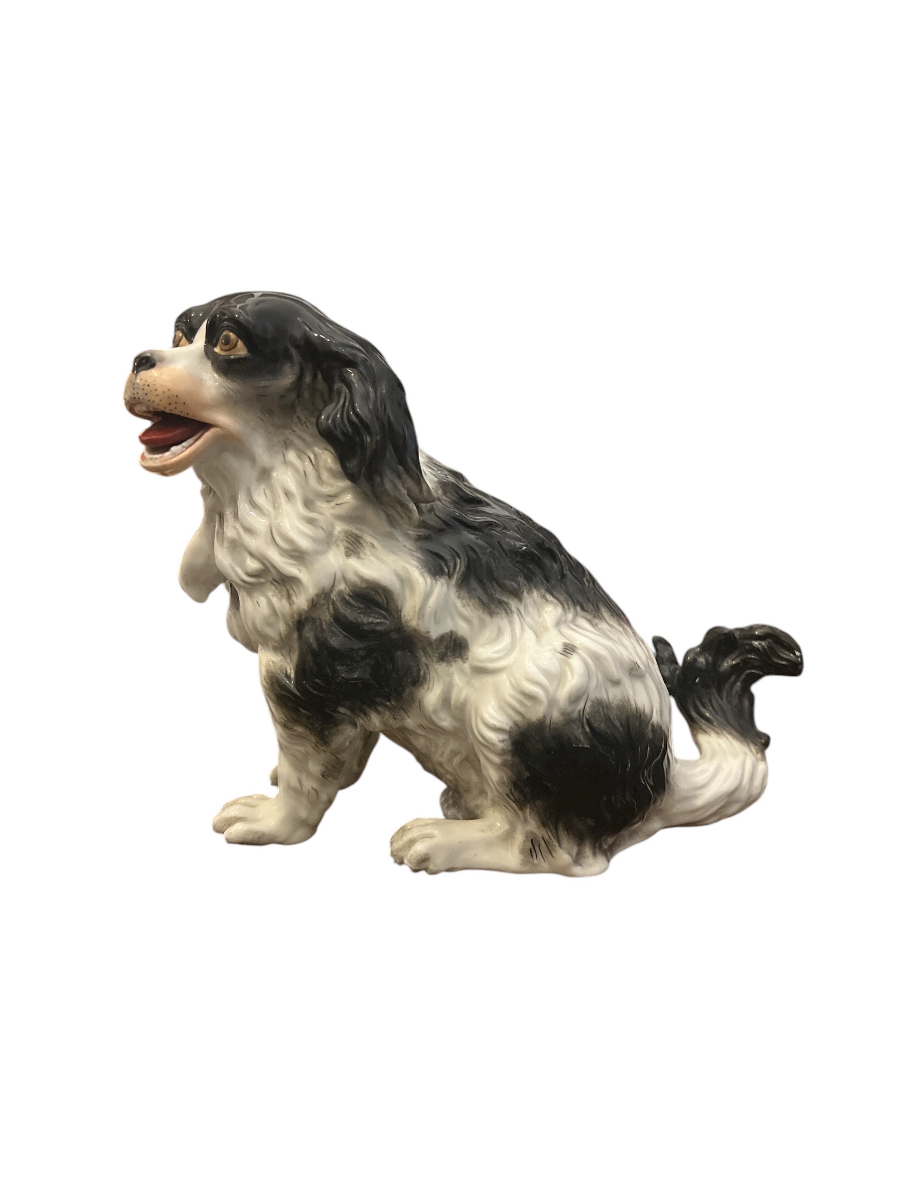 Pes – Kavalír King Charles Španěl