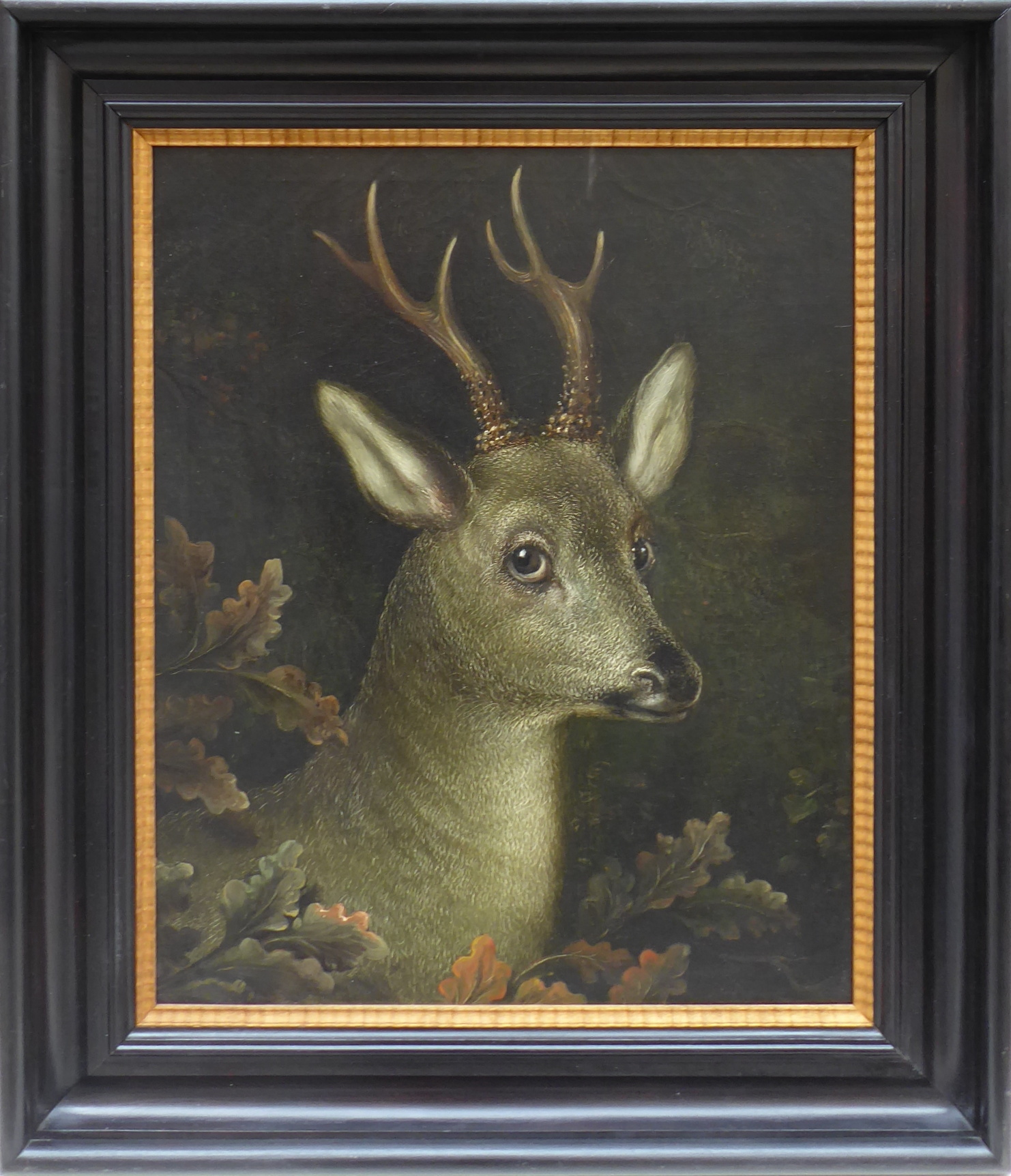 Hlava srnce s parožím – šesterák, křižák