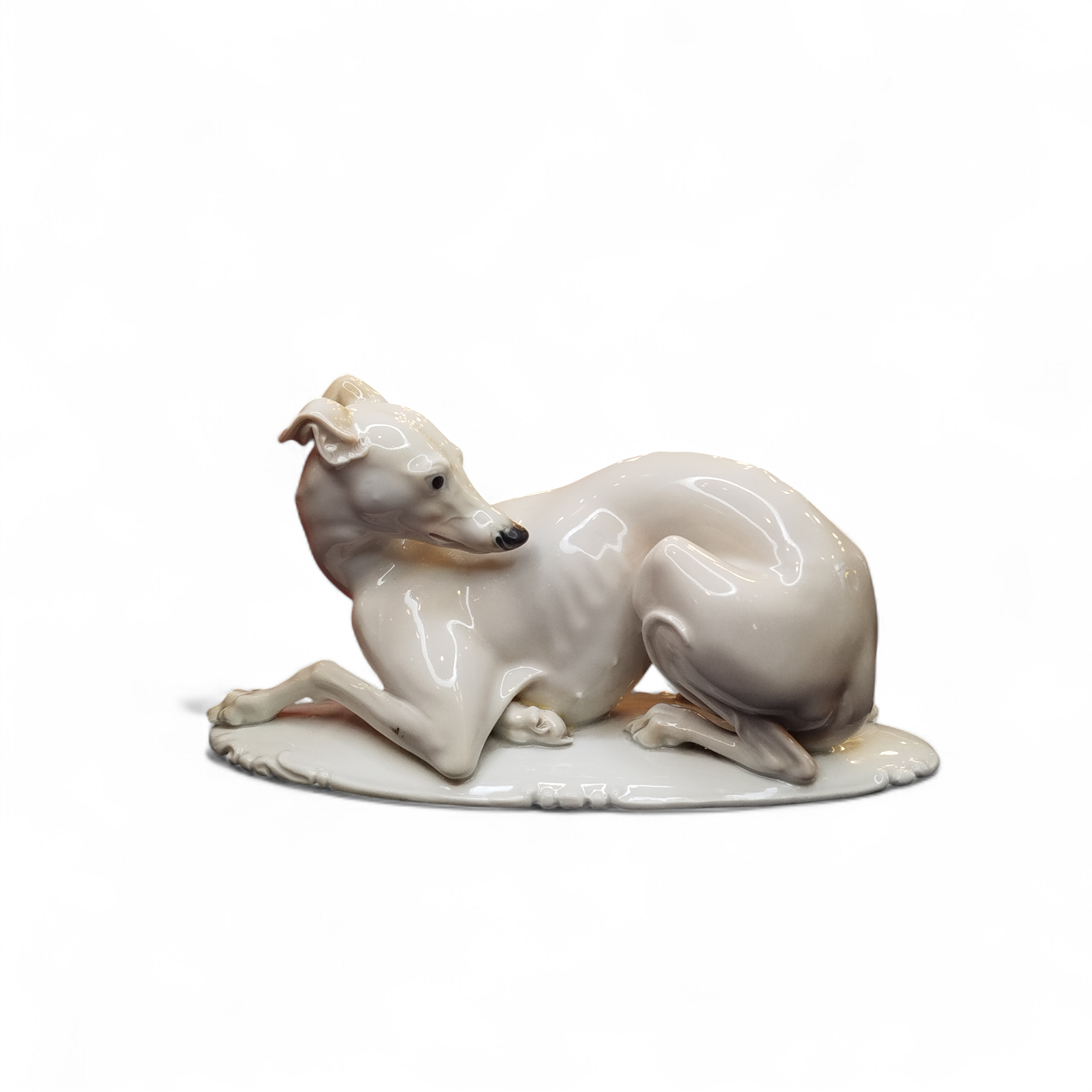 Italský chrtík - Rosenthal