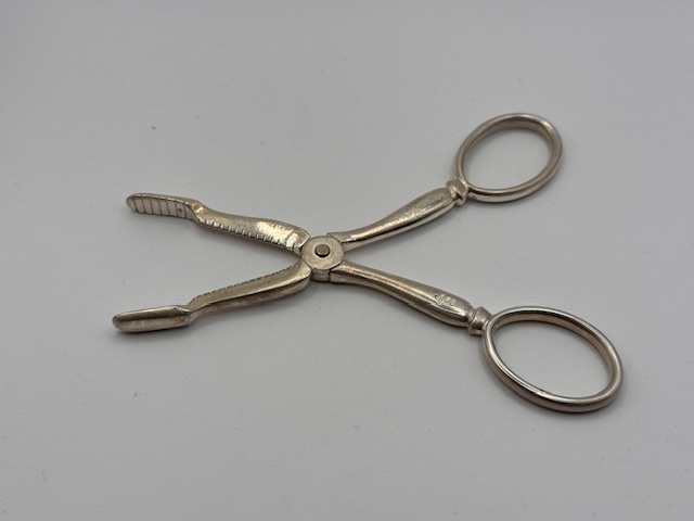 Stříbrné kleště na raky