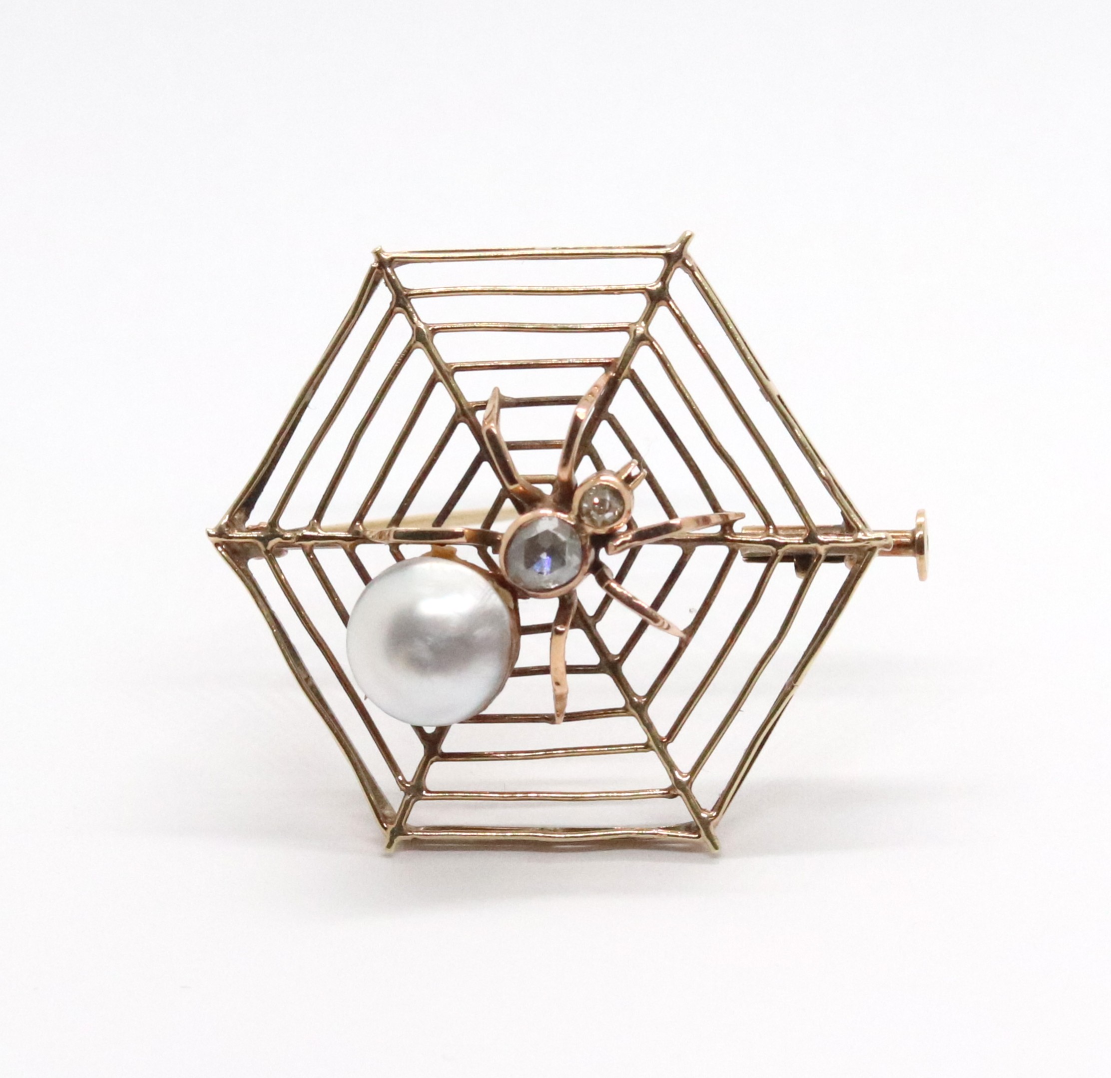 Zlatá brož - pavouk