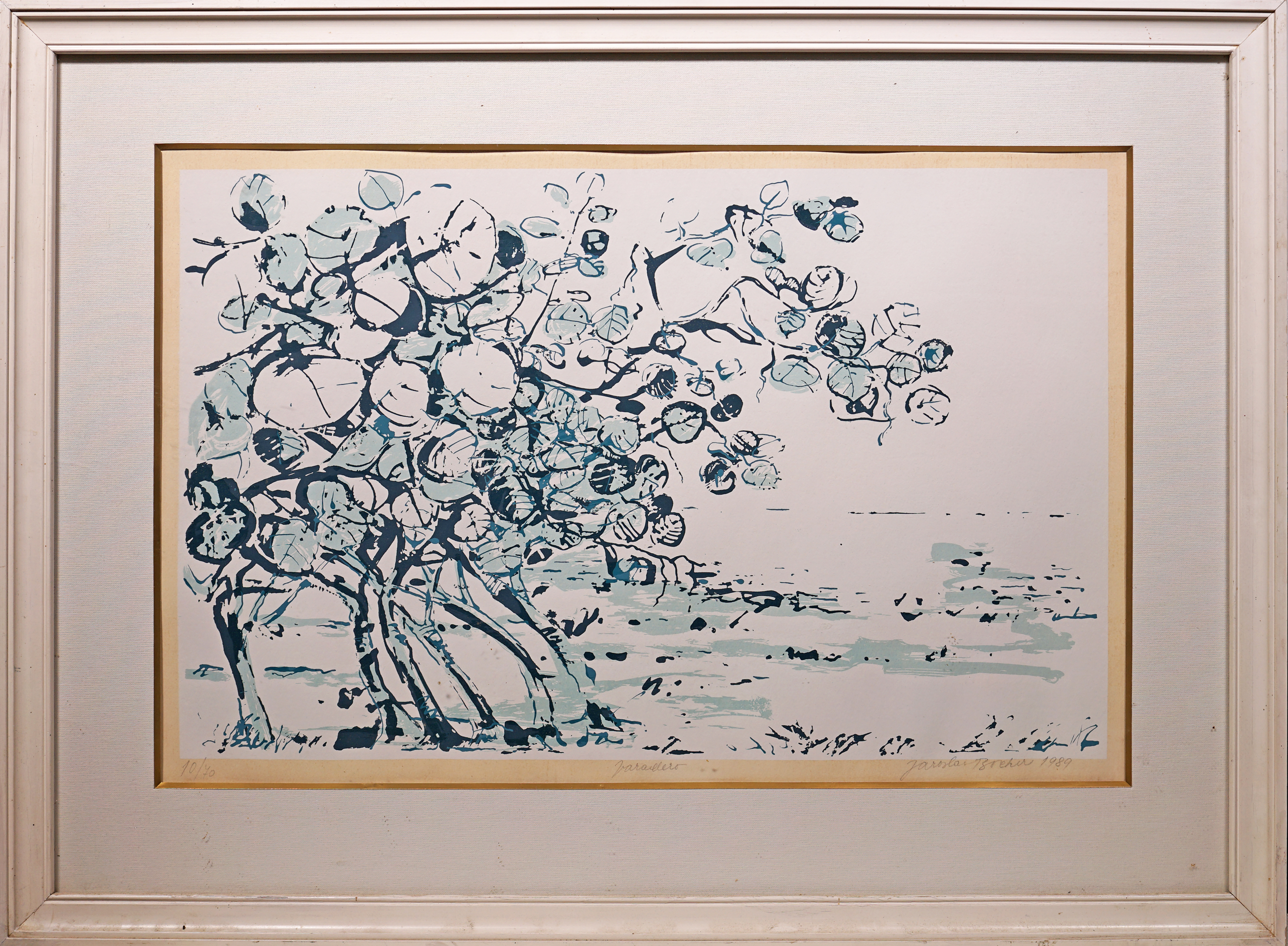 Jaroslav Bocker – Varadero