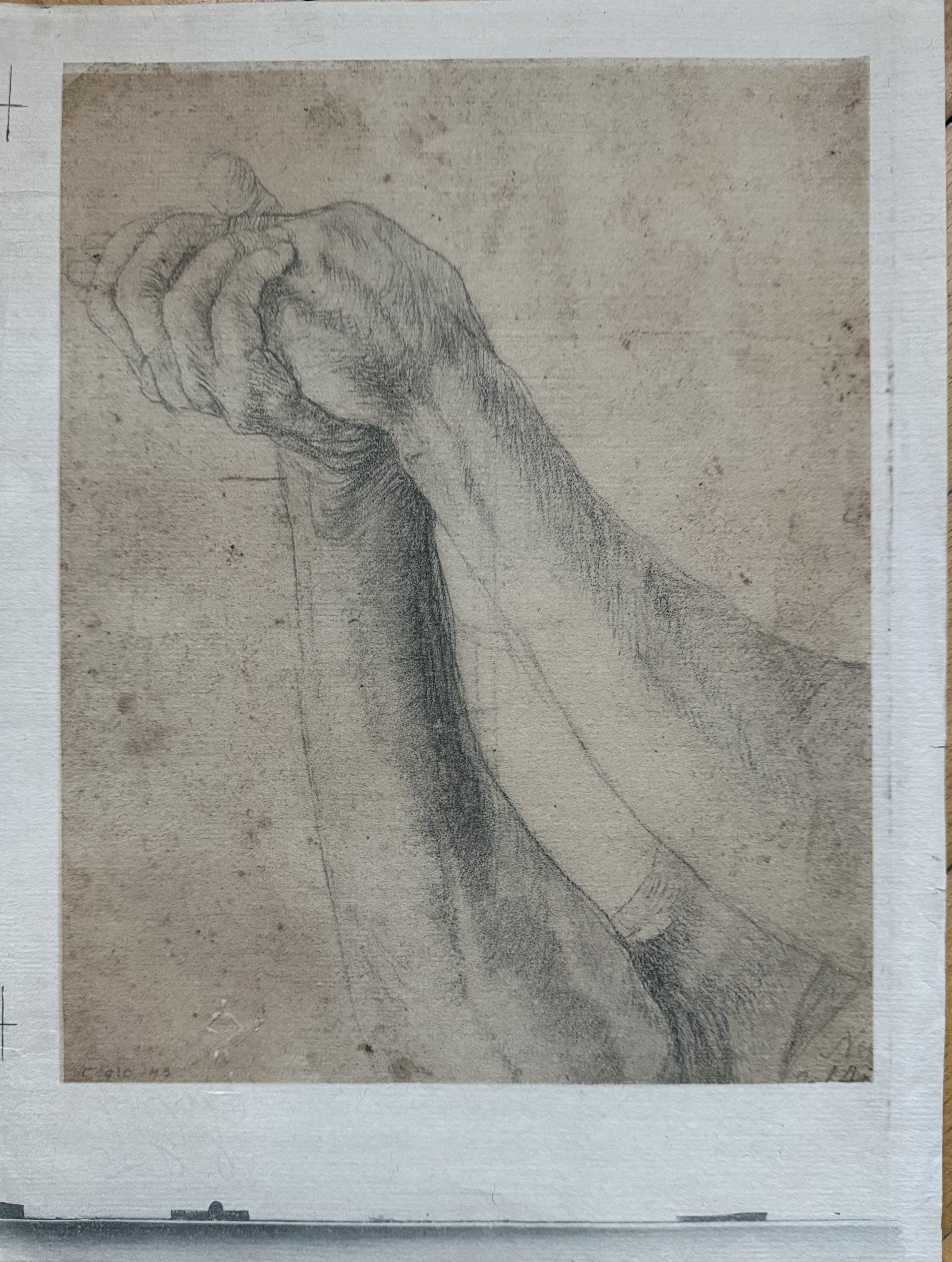 Mathias GRÜNEWALD – Studie rukou